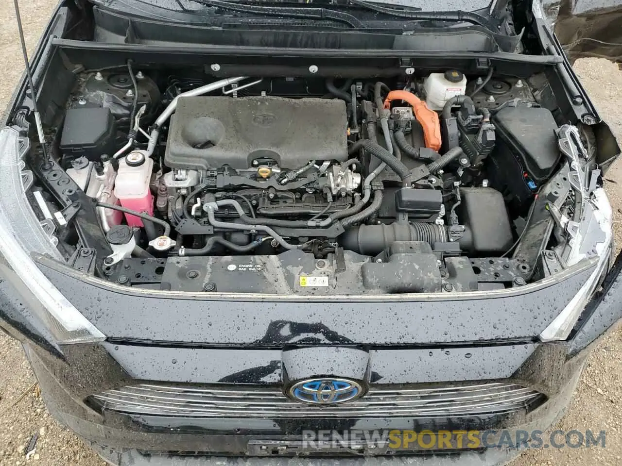 11 Photograph of a damaged car 4T3D6RFV4NU080946 TOYOTA RAV4 2022