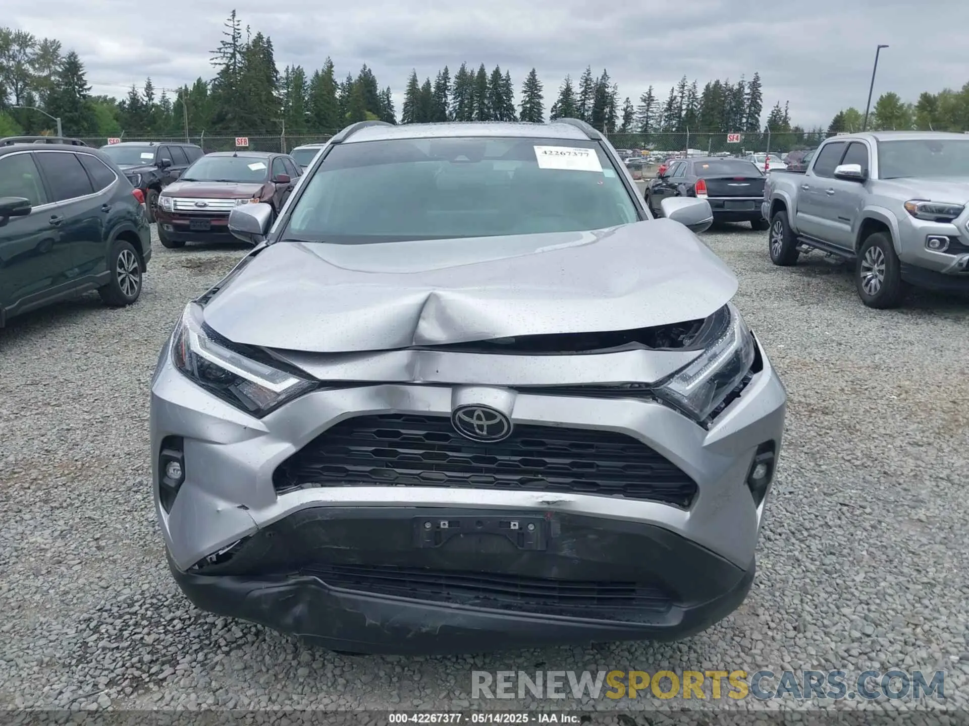 12 Photograph of a damaged car 2T3A1RFV0PC331368 TOYOTA RAV4 2023