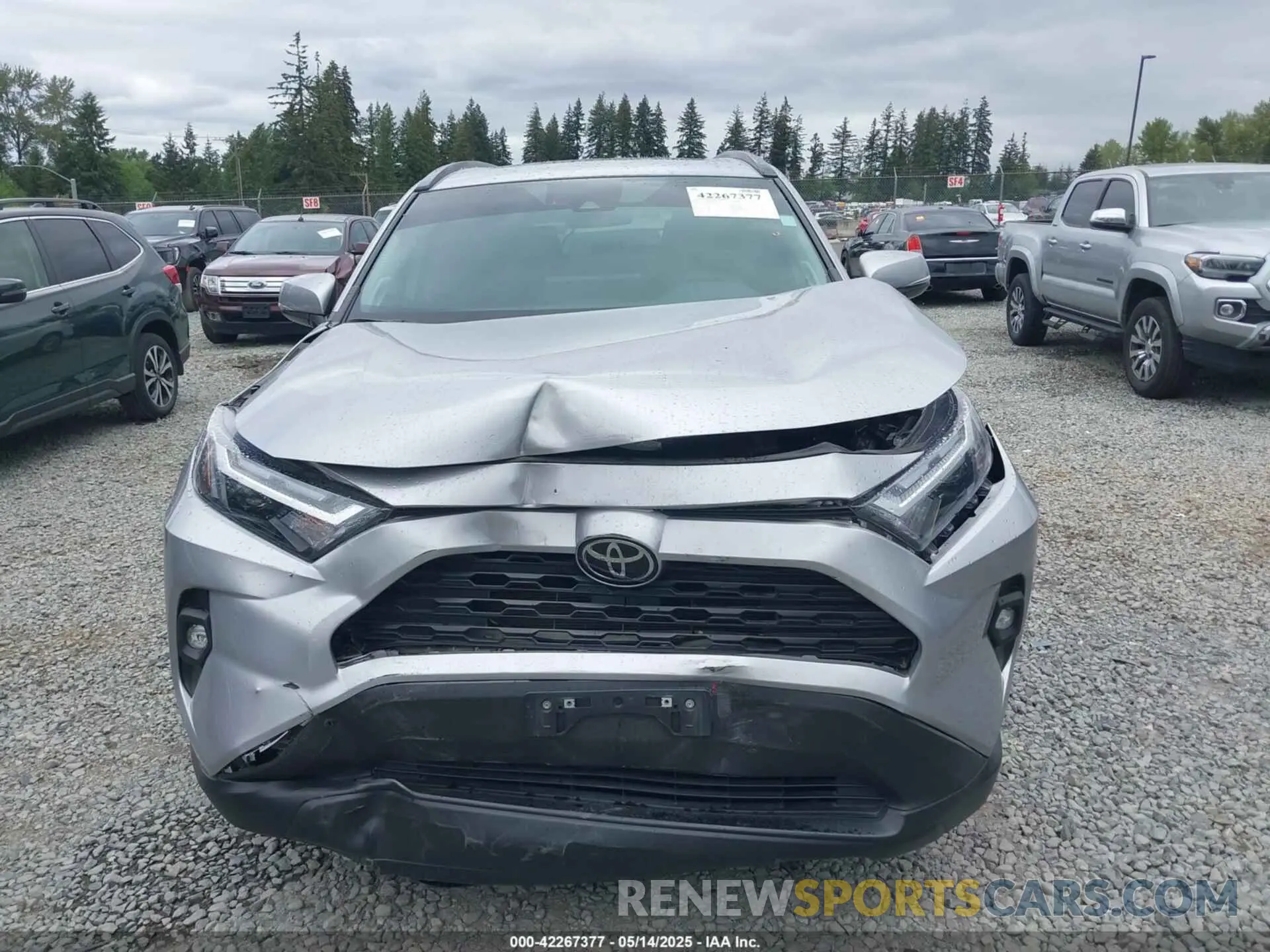6 Photograph of a damaged car 2T3A1RFV0PC331368 TOYOTA RAV4 2023