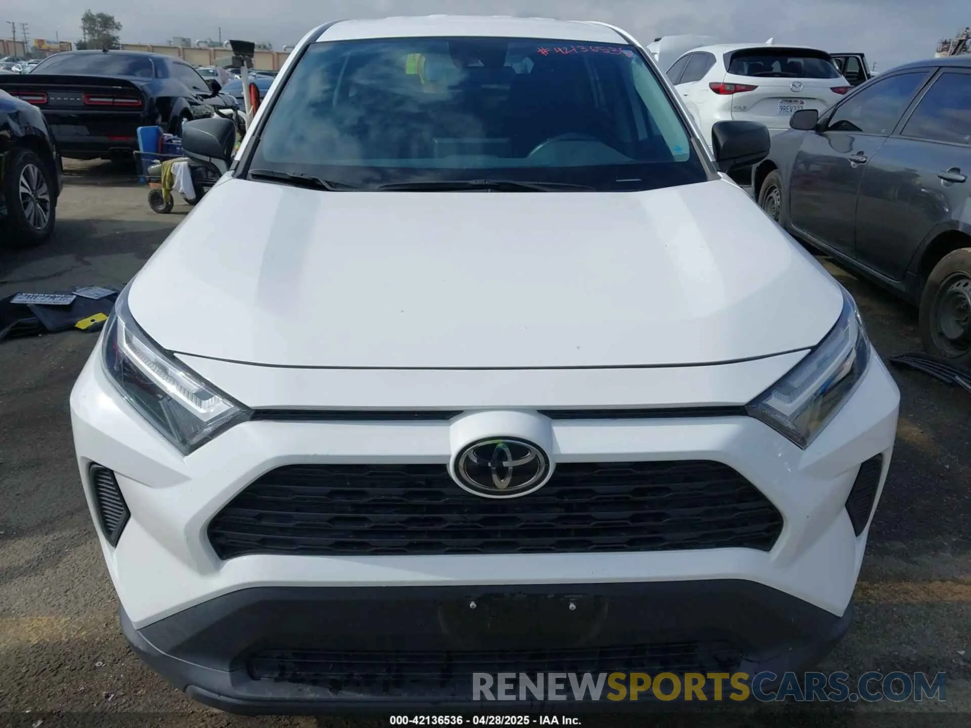12 Photograph of a damaged car 2T3F1RFV3PC334254 TOYOTA RAV4 2023