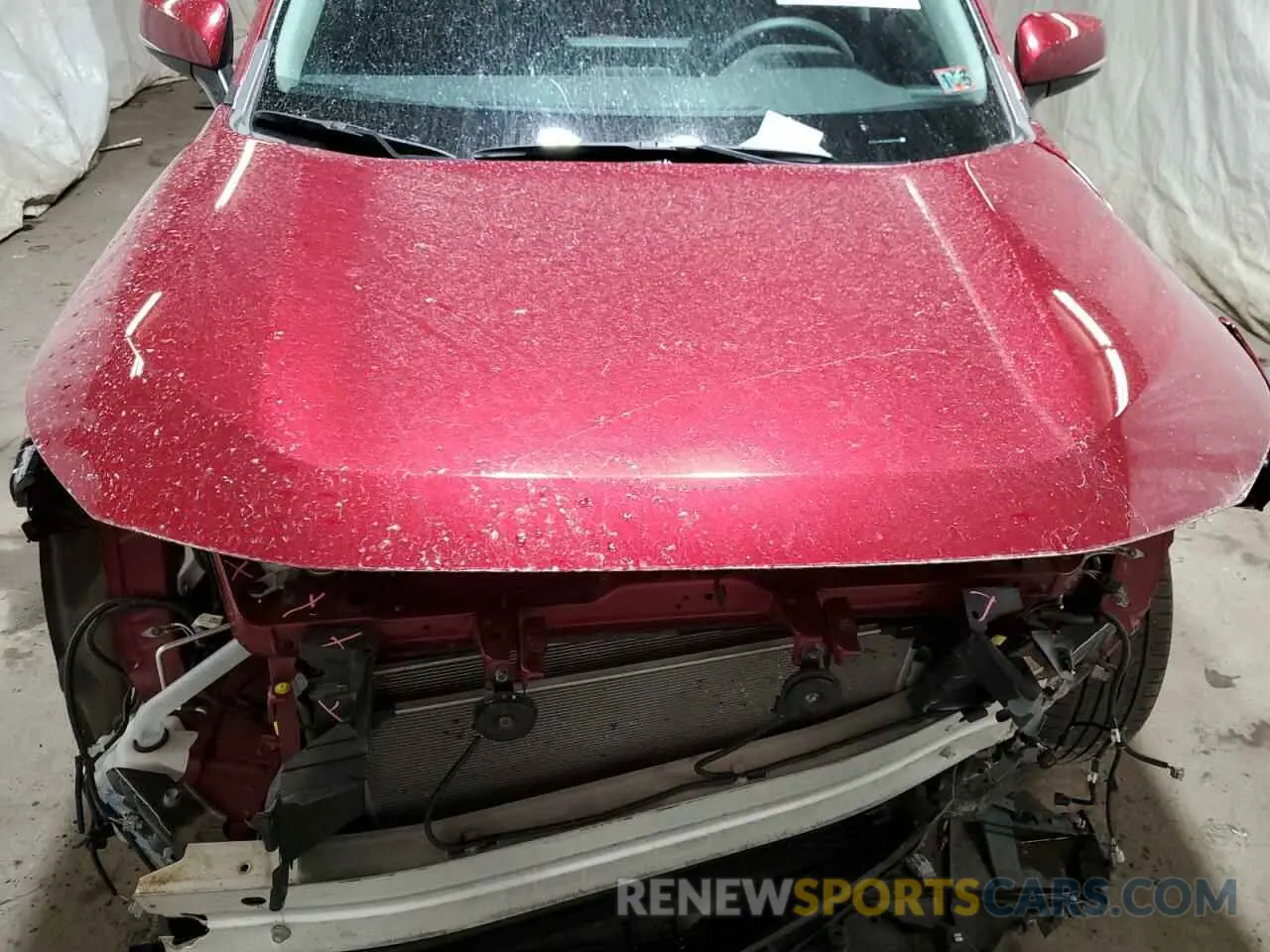 12 Photograph of a damaged car 2T3J1RFV5PW342736 TOYOTA RAV4 2023