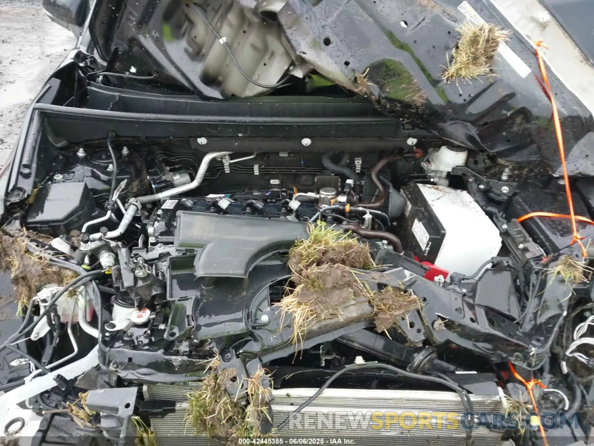 10 Photograph of a damaged car 2T3P1RFV8PC373362 TOYOTA RAV4 2023