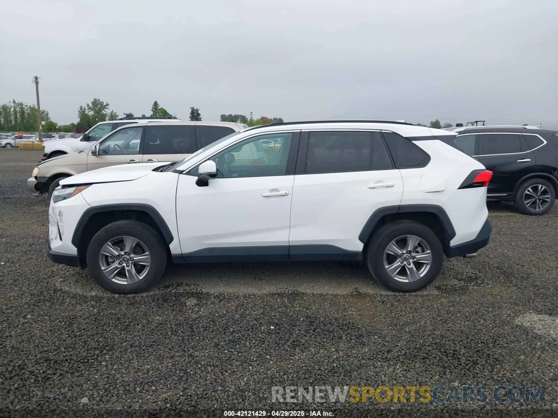 14 Photograph of a damaged car 2T3P1RFV8PW345799 TOYOTA RAV4 2023
