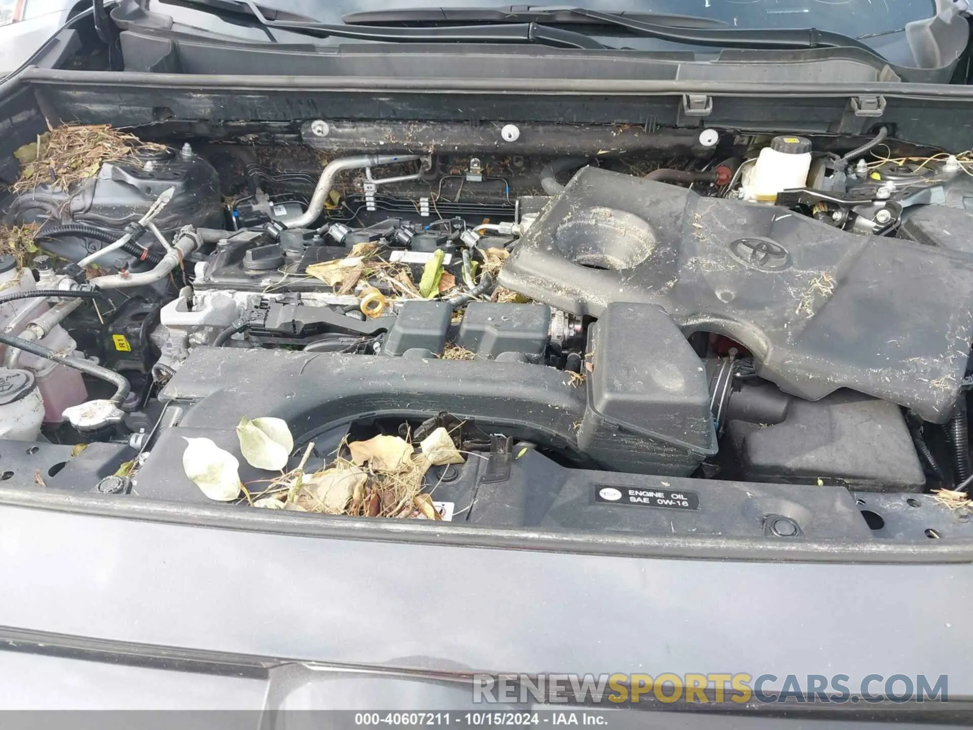 6 Photograph of a damaged car 2T3W1RFV6PW238553 TOYOTA RAV4 2023
