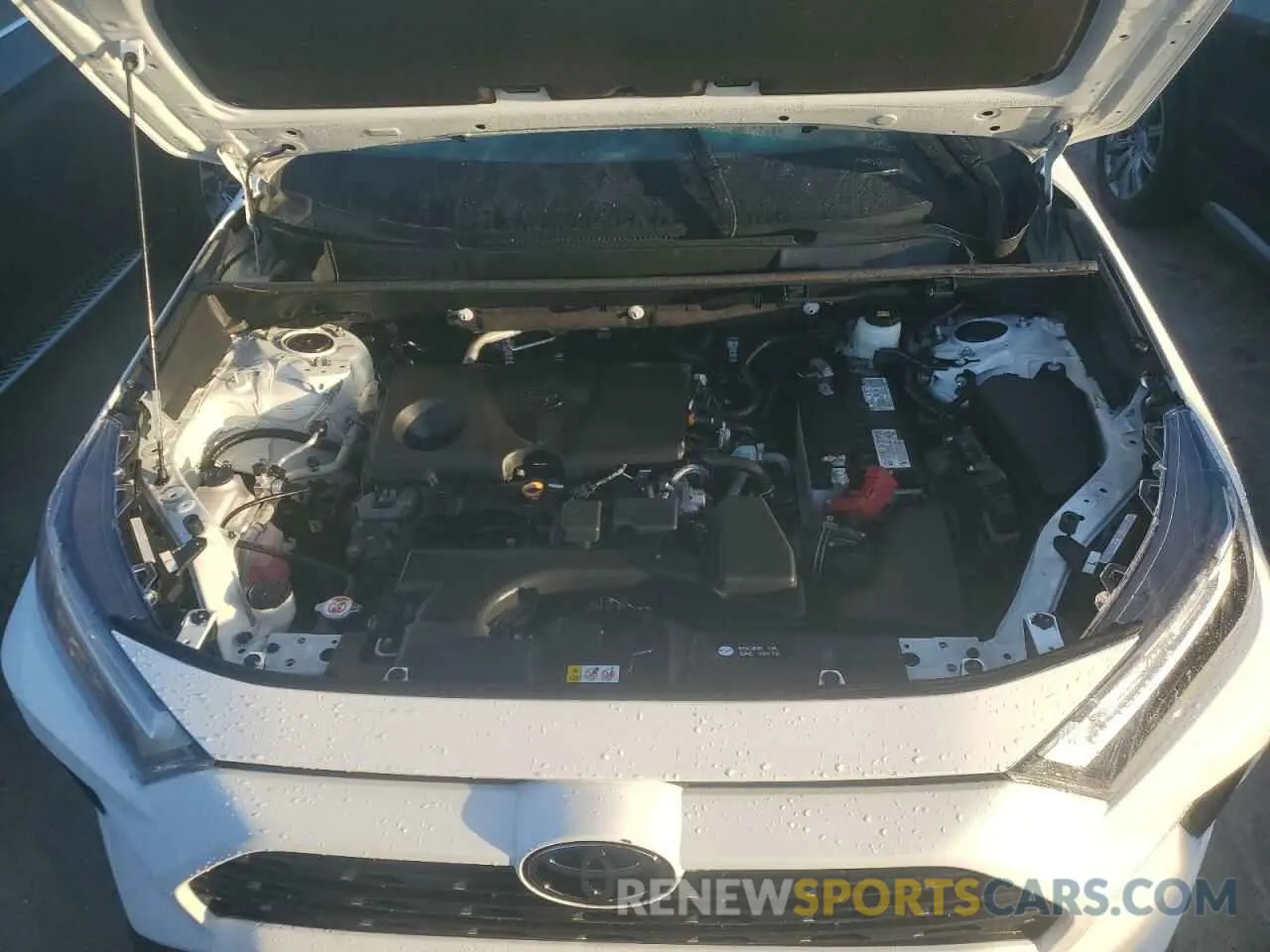12 Photograph of a damaged car 2T3W1RFV9PC224101 TOYOTA RAV4 2023