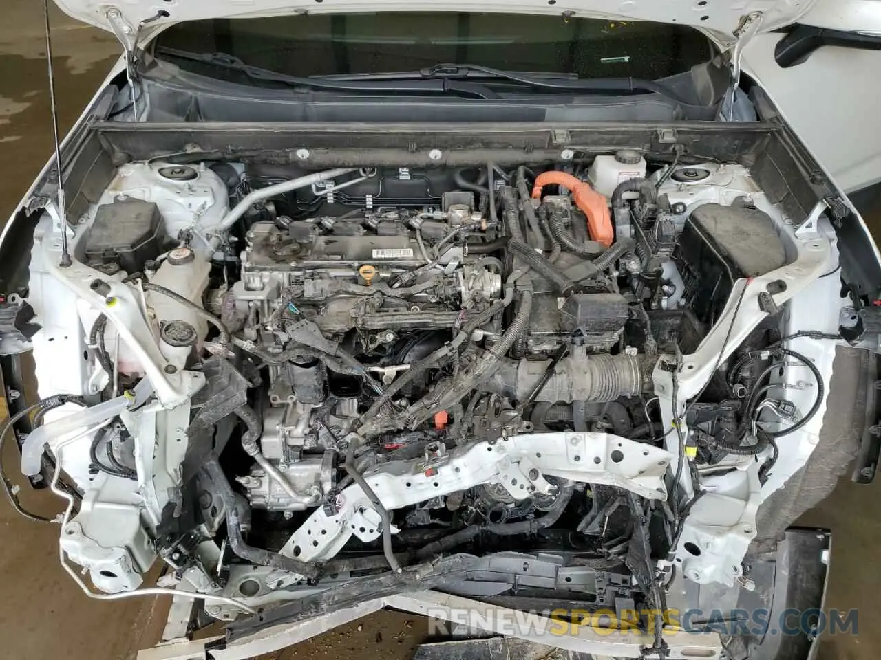 12 Photograph of a damaged car 4T3D6RFV3PU114233 TOYOTA RAV4 2023