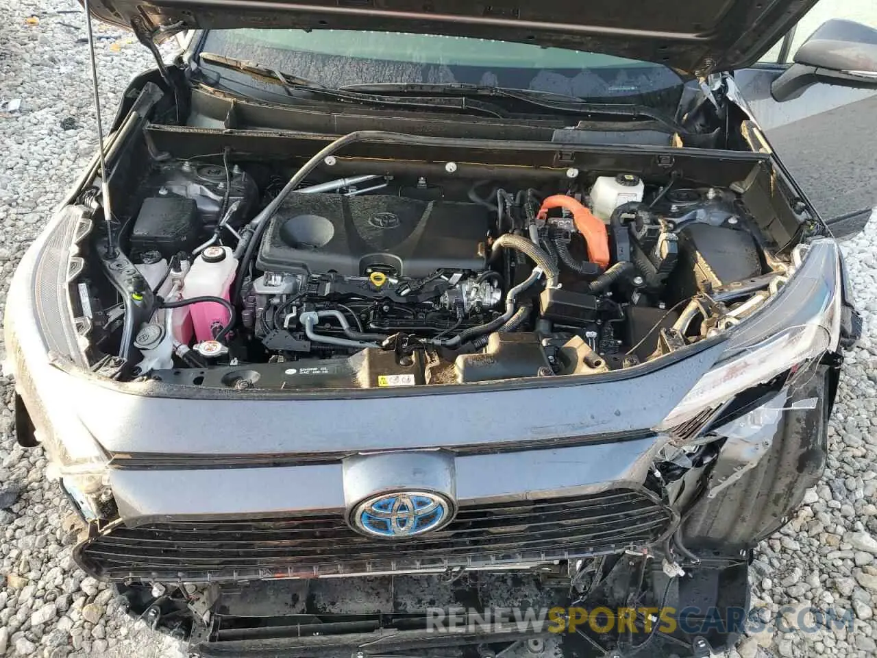 12 Photograph of a damaged car JTM16RFV2PD085226 TOYOTA RAV4 2023