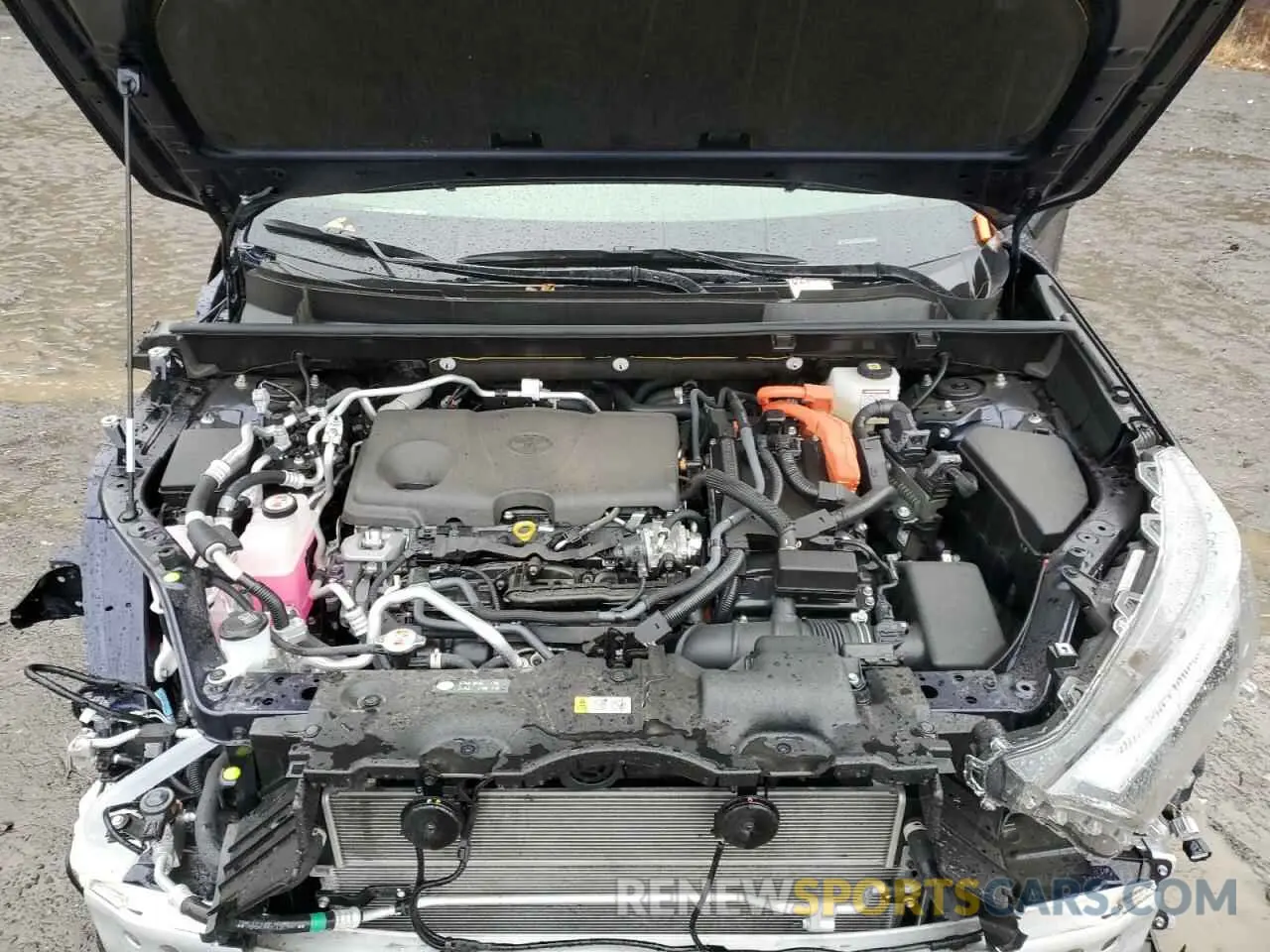 12 Photograph of a damaged car JTMEB3FV3PD159764 TOYOTA RAV4 2023