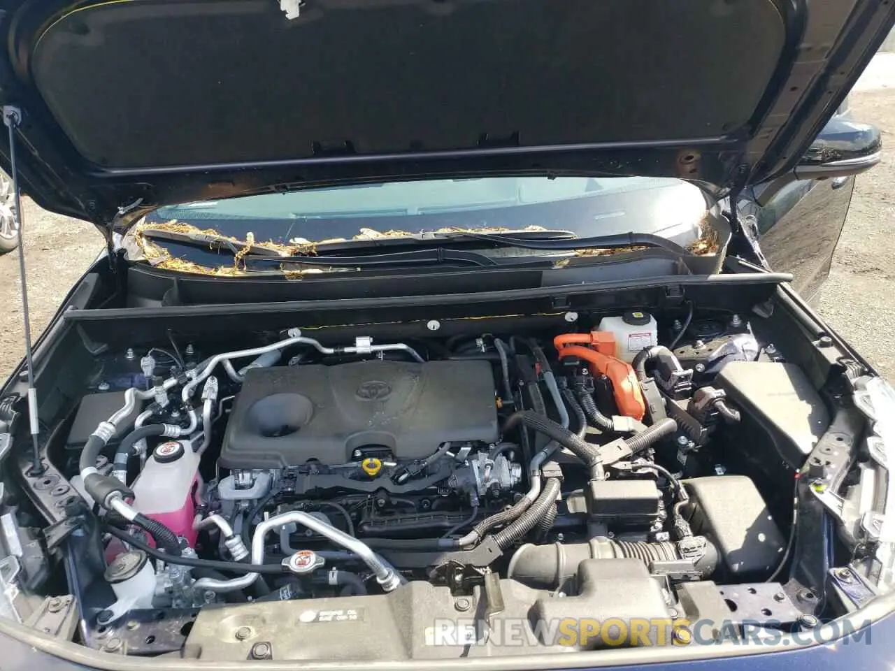 12 Photograph of a damaged car JTMFB3FV3PD165164 TOYOTA RAV4 2023