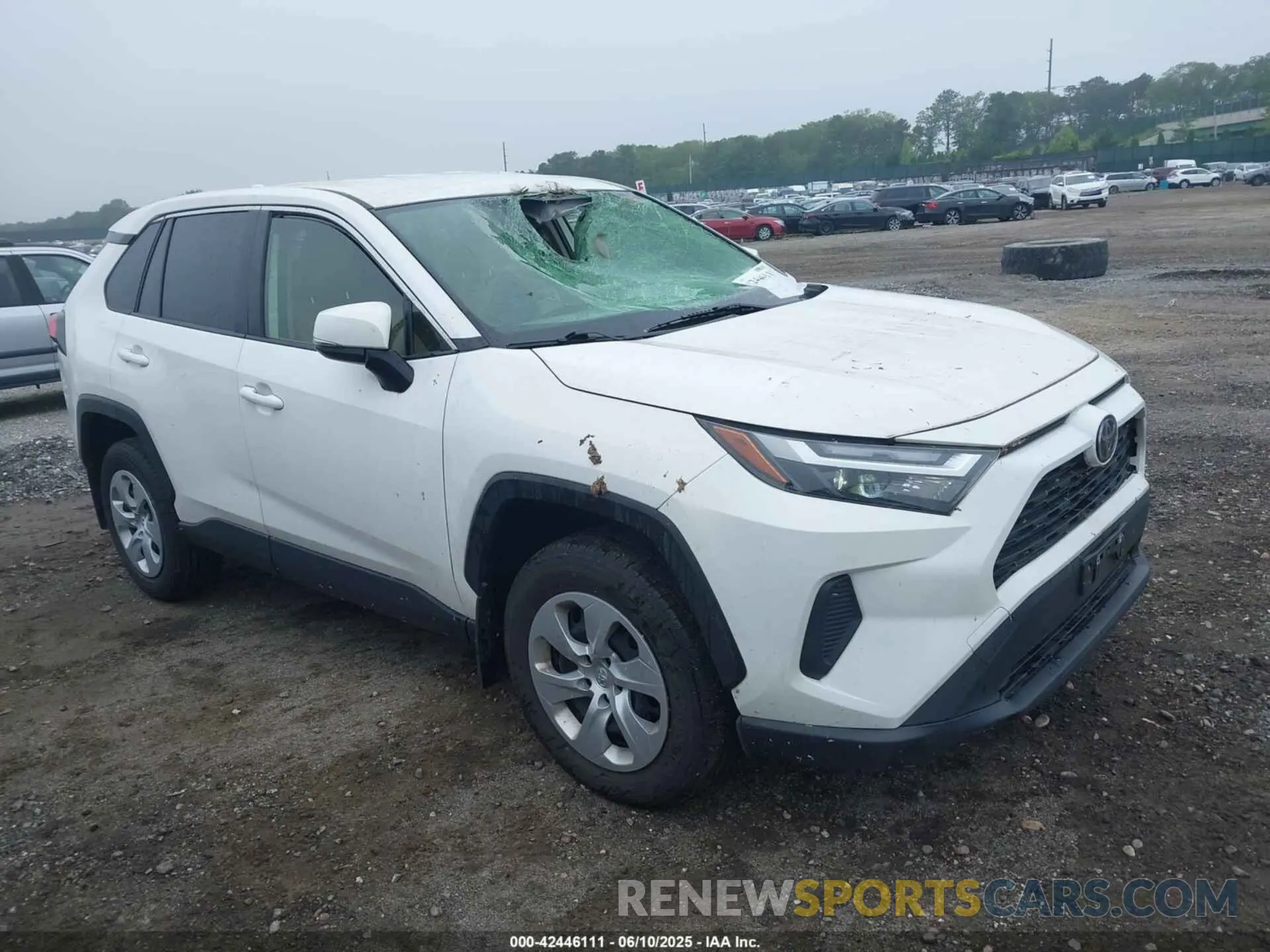 1 Photograph of a damaged car JTMG1RFV3PD093263 TOYOTA RAV4 2023