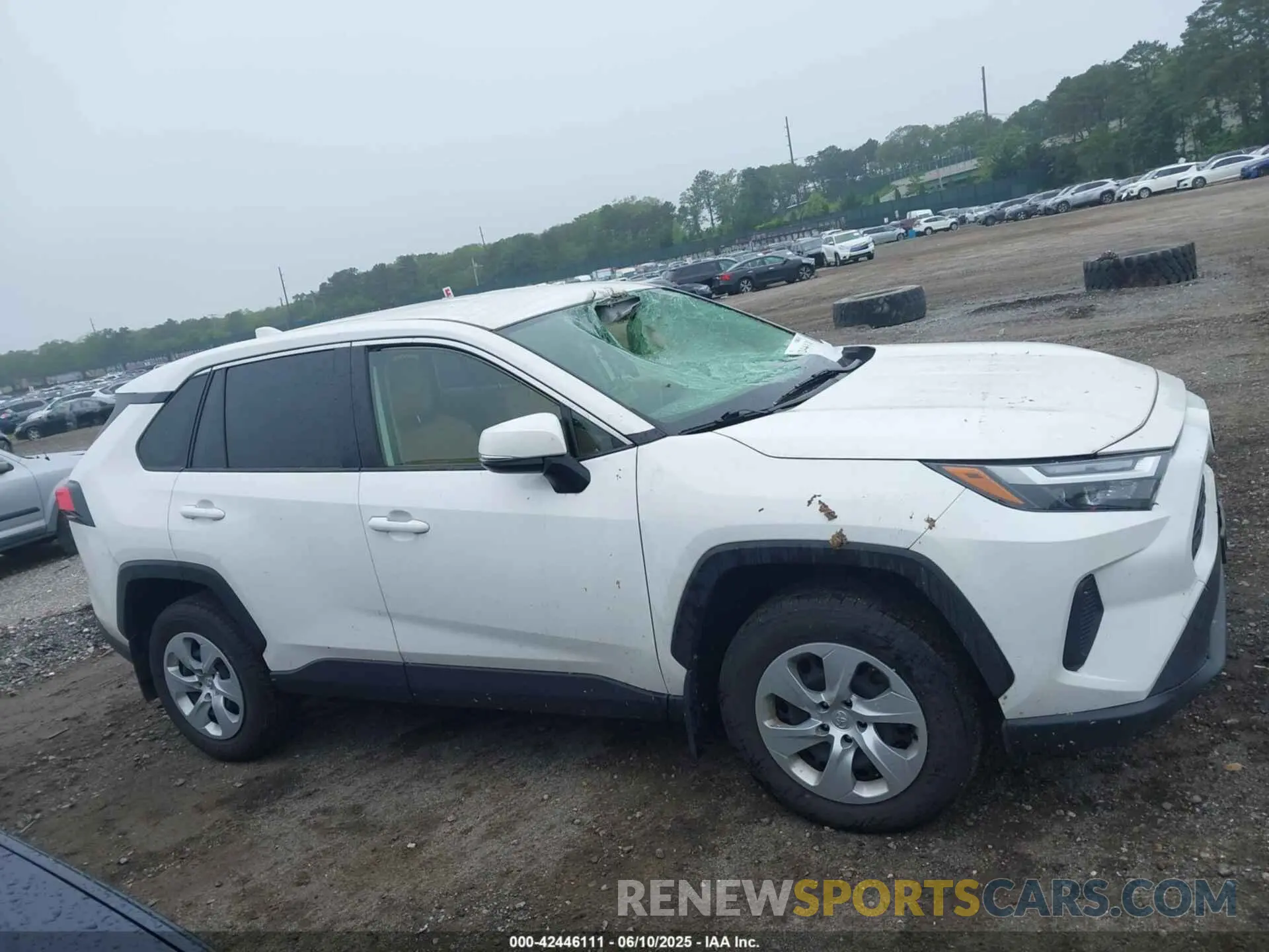 13 Photograph of a damaged car JTMG1RFV3PD093263 TOYOTA RAV4 2023