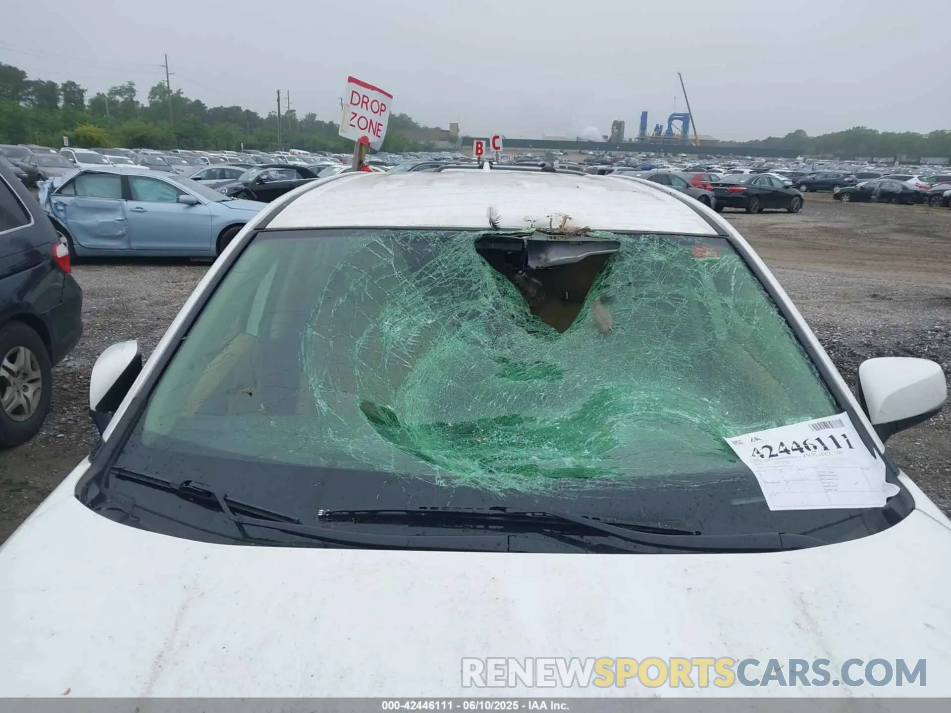 6 Photograph of a damaged car JTMG1RFV3PD093263 TOYOTA RAV4 2023