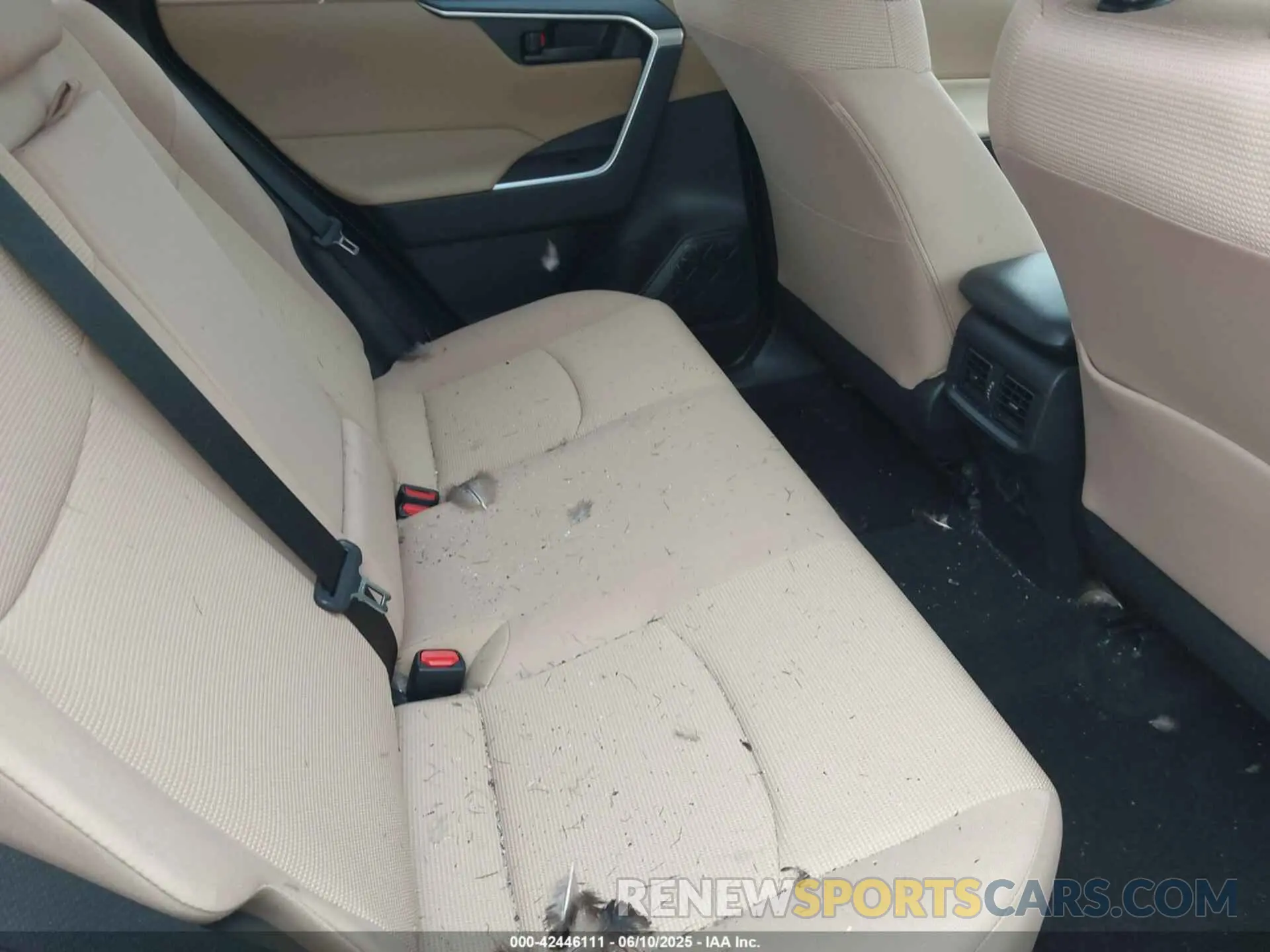 8 Photograph of a damaged car JTMG1RFV3PD093263 TOYOTA RAV4 2023