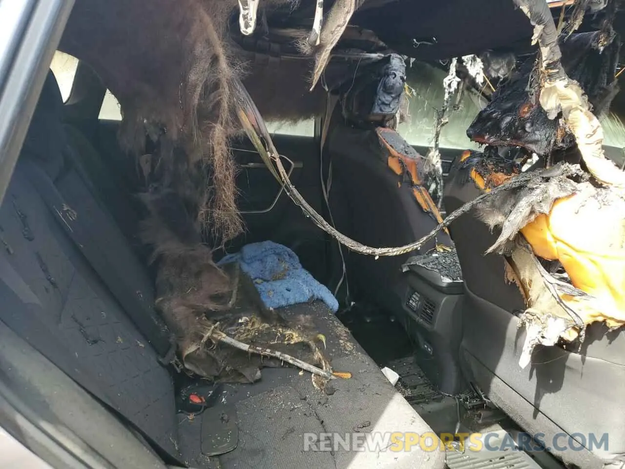 11 Photograph of a damaged car JTMRWRFVXPD206118 TOYOTA RAV4 2023