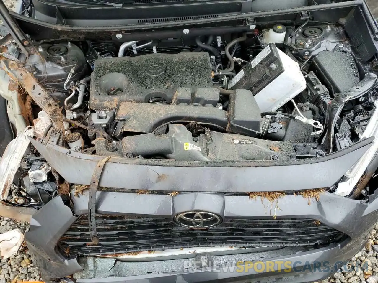 14 Photograph of a damaged car 2T3H1RFV0RW365231 TOYOTA RAV4 2024