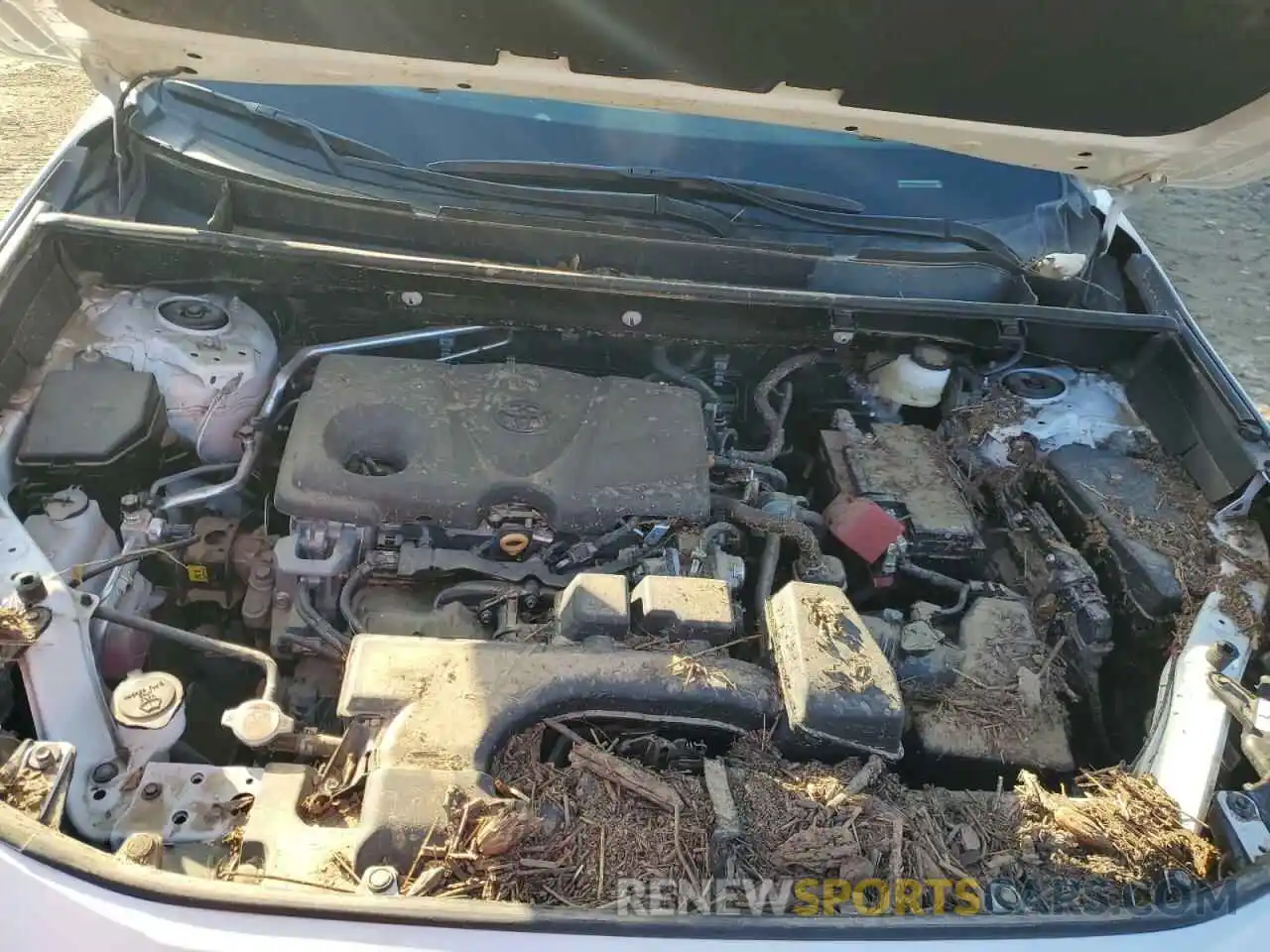 12 Photograph of a damaged car 2T3J1RFV3RW471397 TOYOTA RAV4 2024