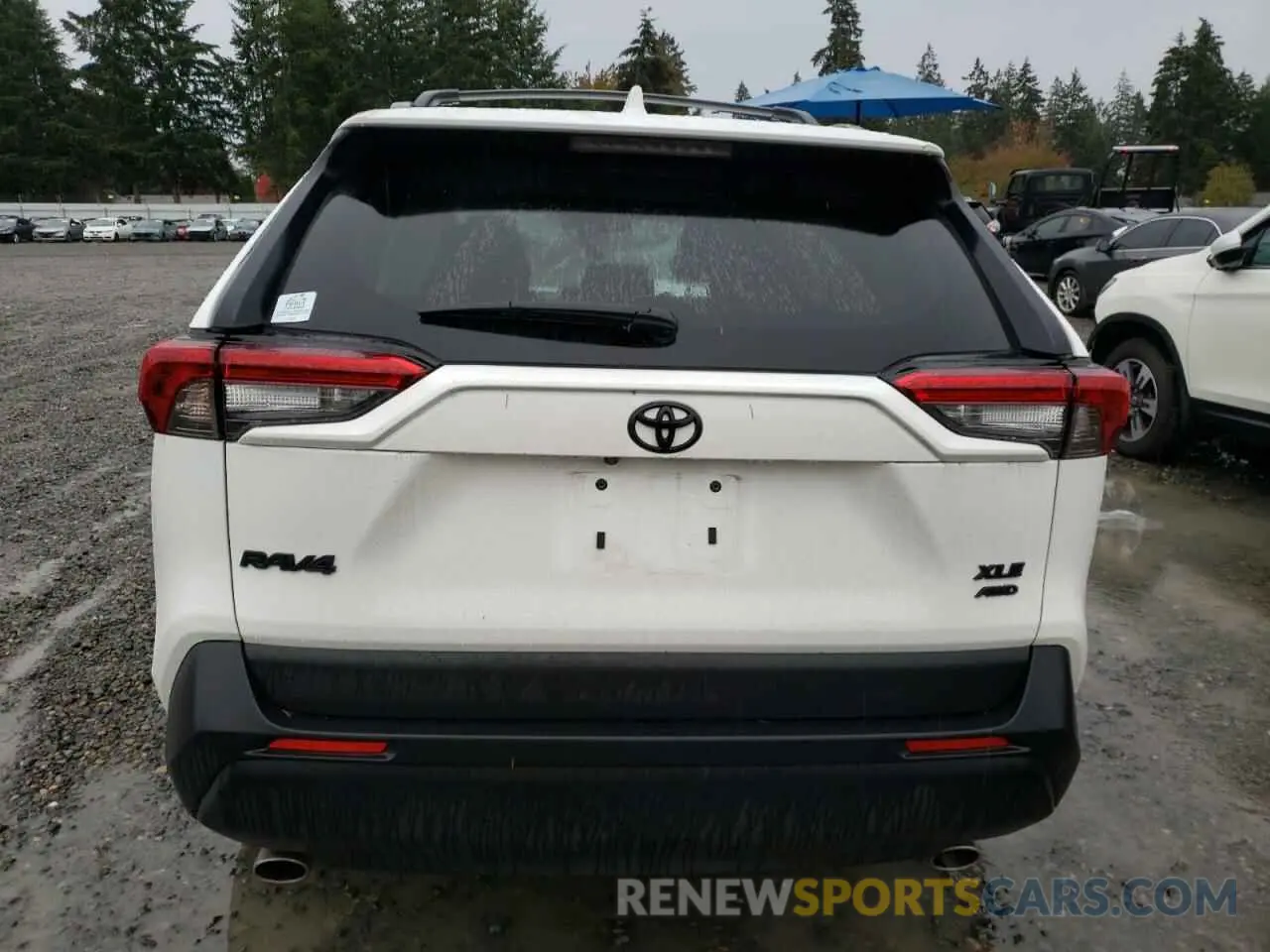 6 Photograph of a damaged car 2T3P1RFV2RC402468 TOYOTA RAV4 2024