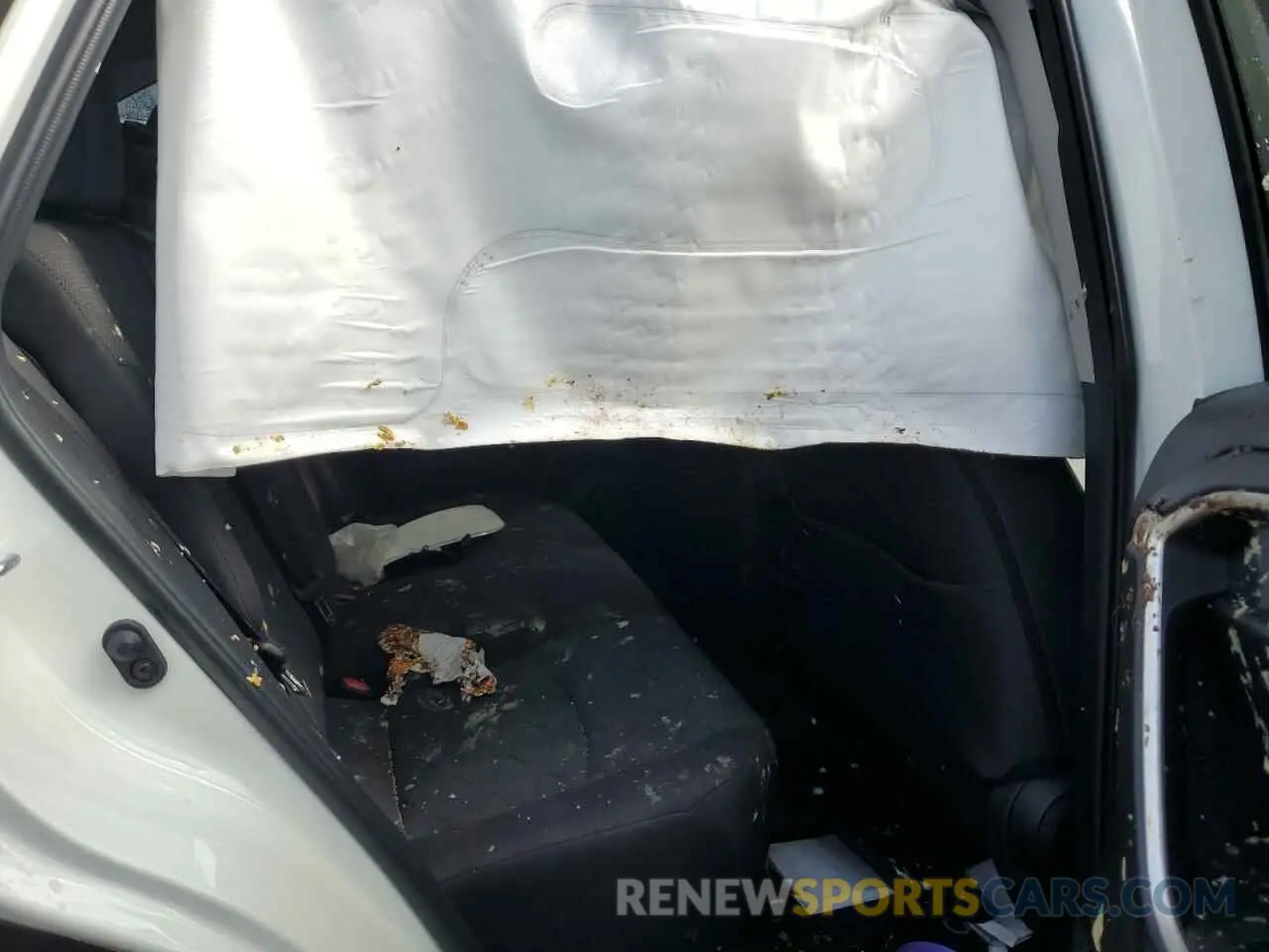 10 Photograph of a damaged car 2T3P1RFV3RC459780 TOYOTA RAV4 2024