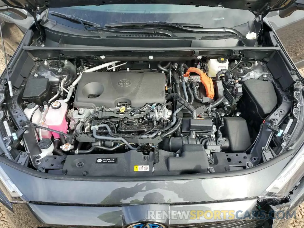 13 Photograph of a damaged car 2T3RWRFV2RW250717 TOYOTA RAV4 2024
