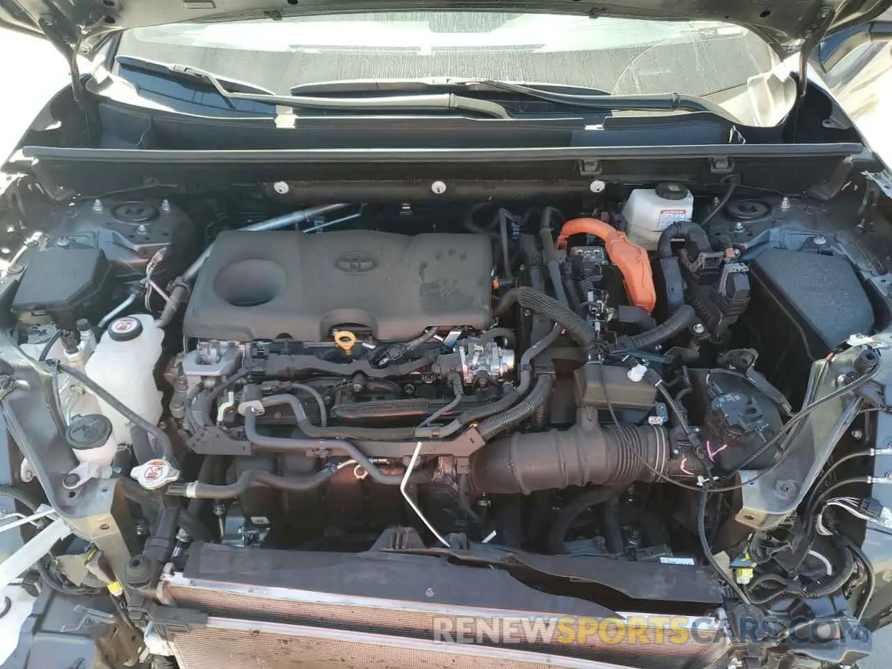 12 Photograph of a damaged car 2T3RWRFV4RW225933 TOYOTA RAV4 2024