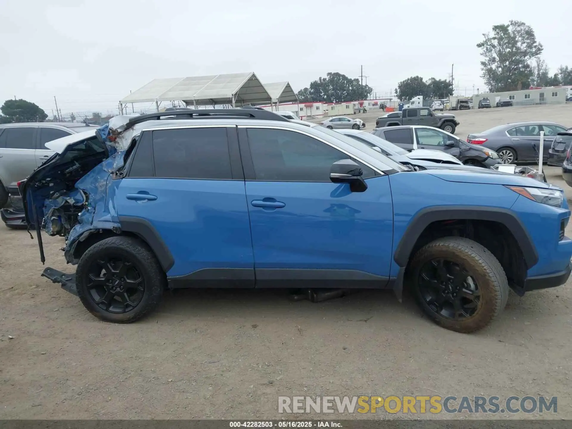 13 Photograph of a damaged car 2T3S1RFV4RW425470 TOYOTA RAV4 2024