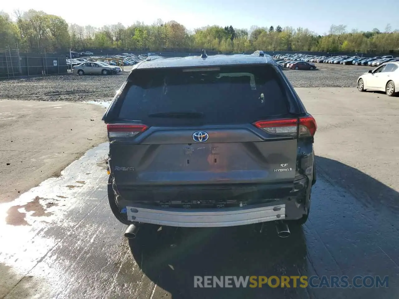 6 Photograph of a damaged car JTM16RFV8RD150504 TOYOTA RAV4 2024