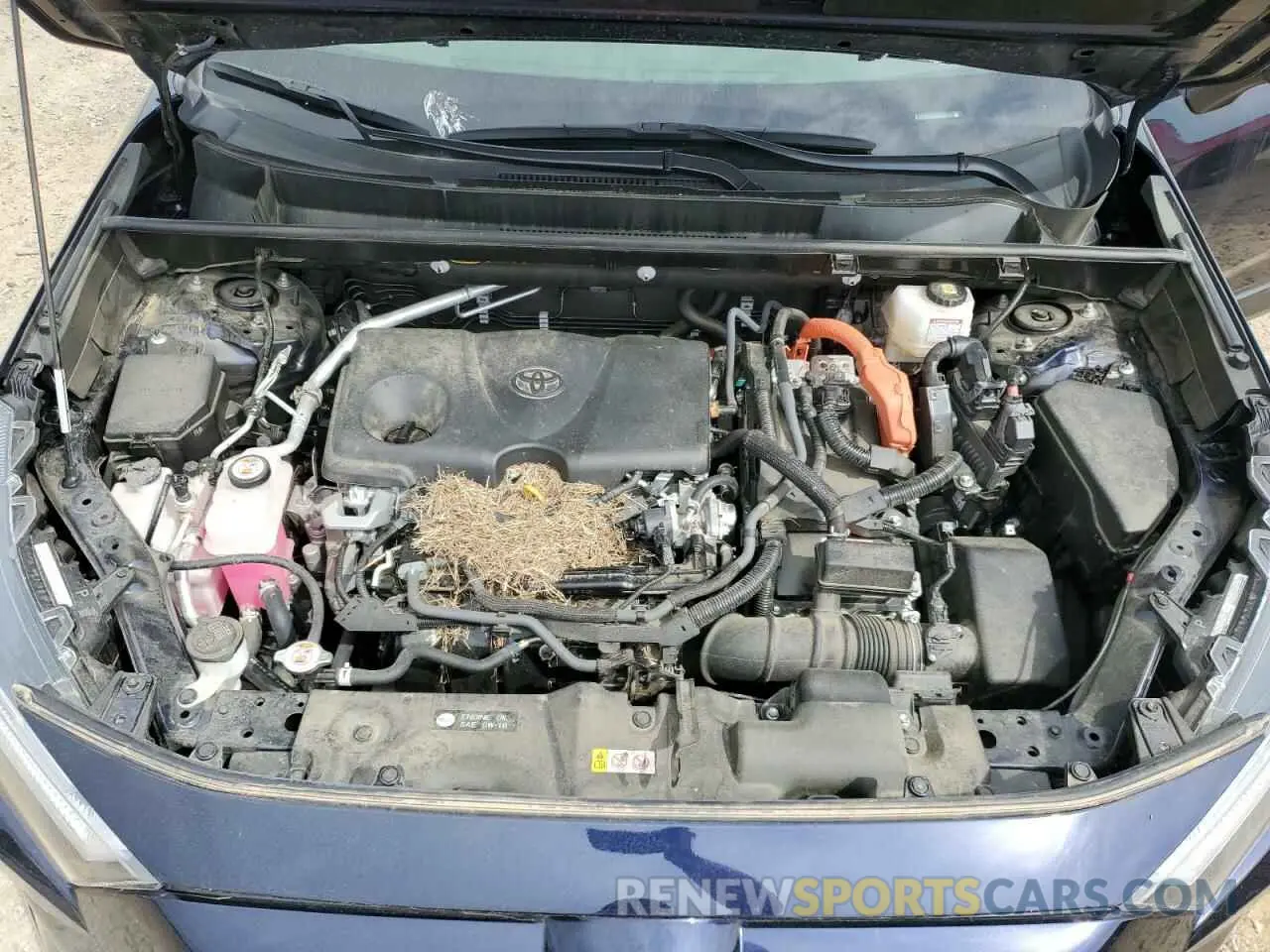 12 Photograph of a damaged car JTMD6RFV3RD126446 TOYOTA RAV4 2024