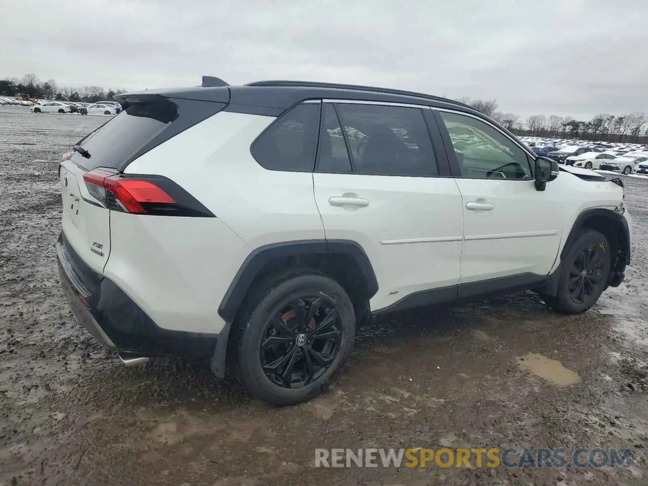 3 Photograph of a damaged car JTME6RFV5RD553552 TOYOTA RAV4 2024