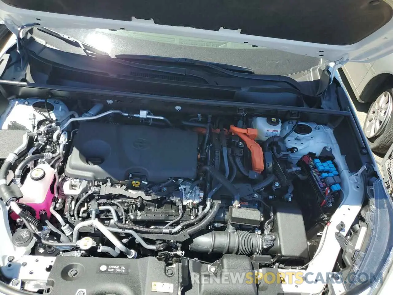 12 Photograph of a damaged car JTMEB3FVXRD207926 TOYOTA RAV4 2024