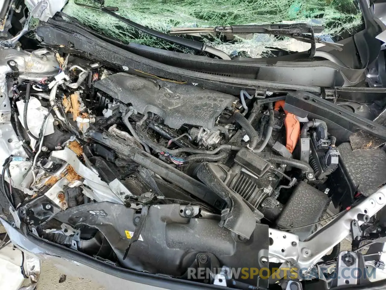 12 Photograph of a damaged car JTMLWRFV4RD245585 TOYOTA RAV4 2024