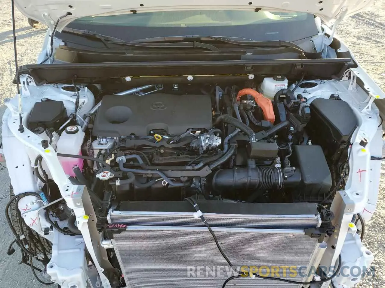 11 Photograph of a damaged car JTMRWRFV0RD247697 TOYOTA RAV4 2024