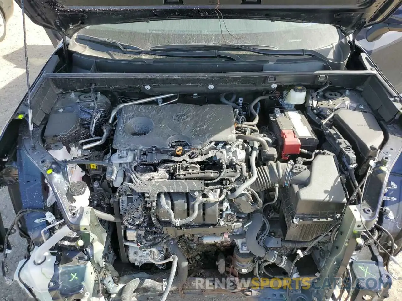 12 Photograph of a damaged car 2T3N1RFV2SW499666 TOYOTA RAV4 2025