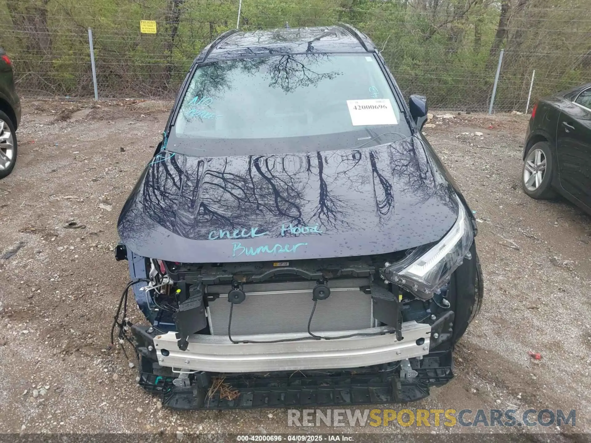 12 Photograph of a damaged car 2T3P1RFVXSW502922 TOYOTA RAV4 2025