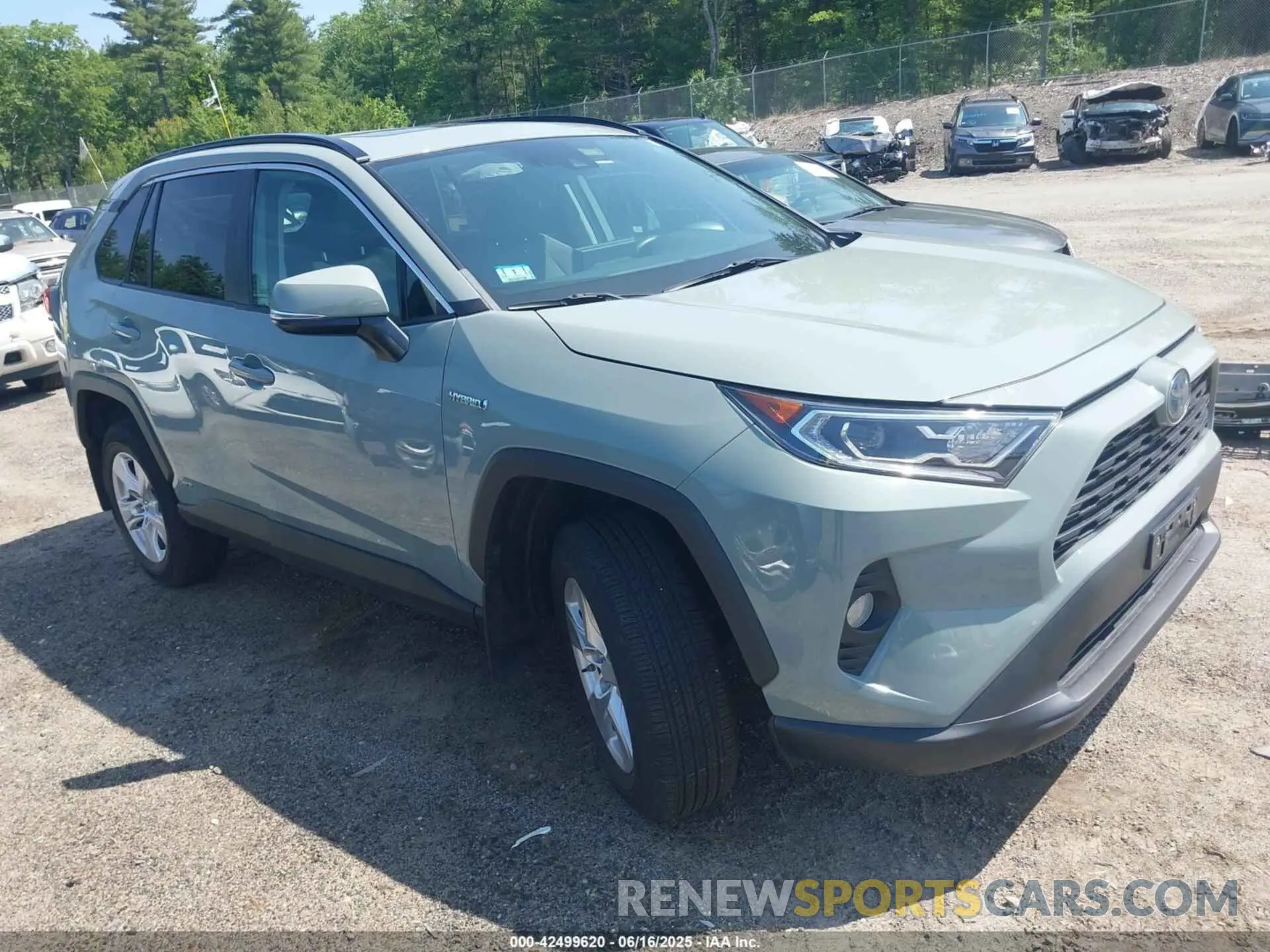 1 Photograph of a damaged car 2T3RWRFV2KW020164 TOYOTA RAV4 HYBRID 2019