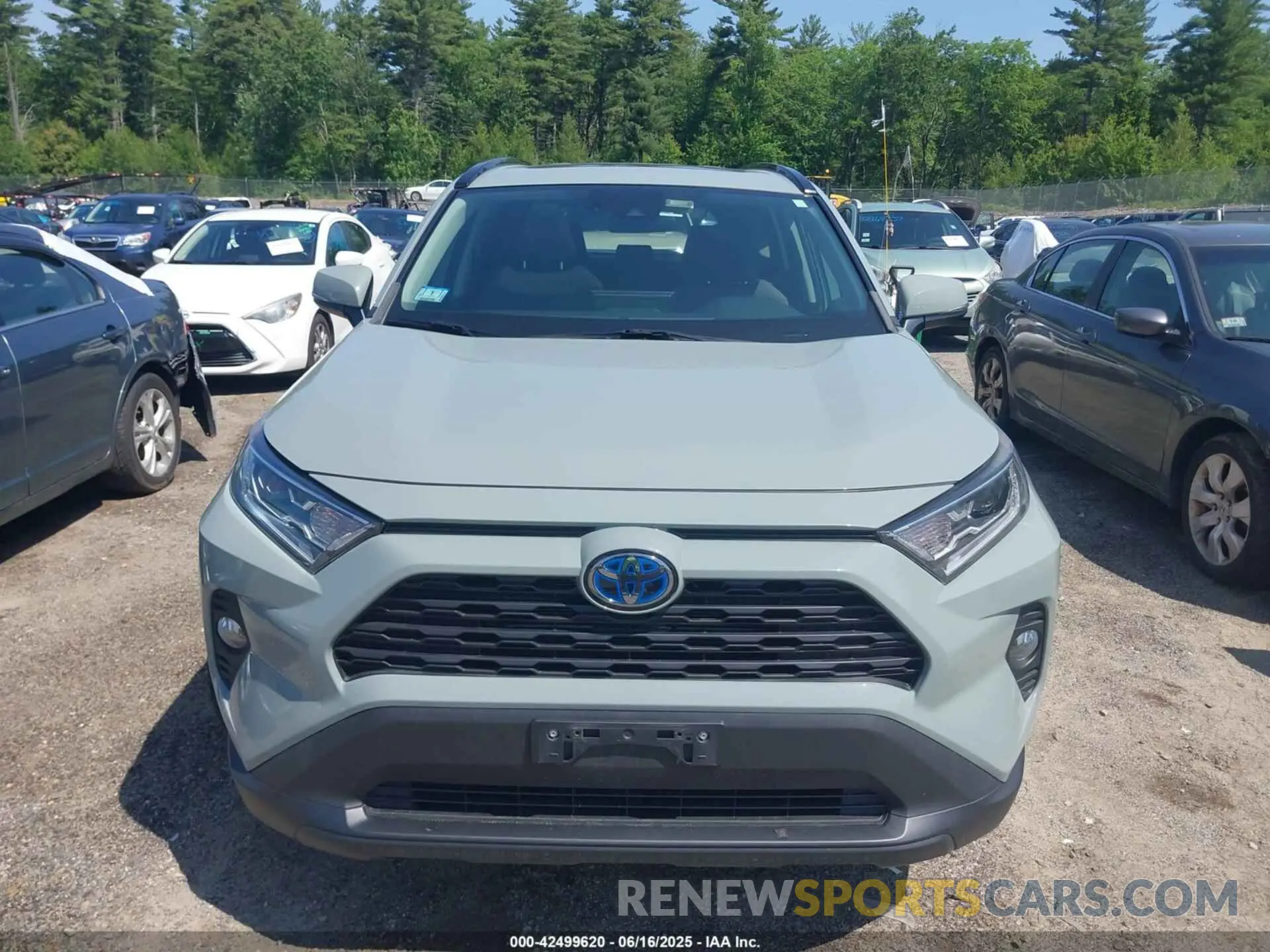 11 Photograph of a damaged car 2T3RWRFV2KW020164 TOYOTA RAV4 HYBRID 2019