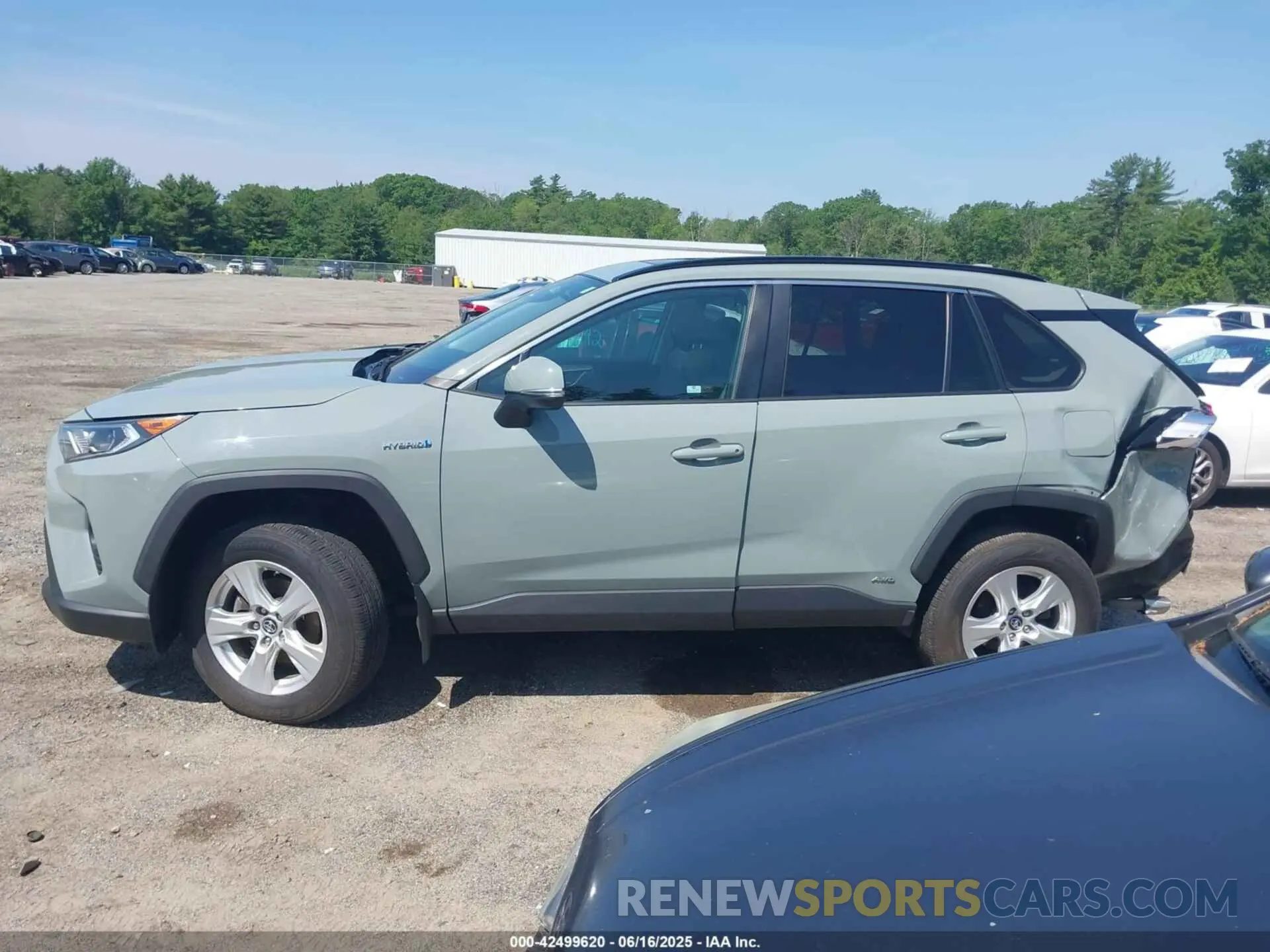 13 Photograph of a damaged car 2T3RWRFV2KW020164 TOYOTA RAV4 HYBRID 2019
