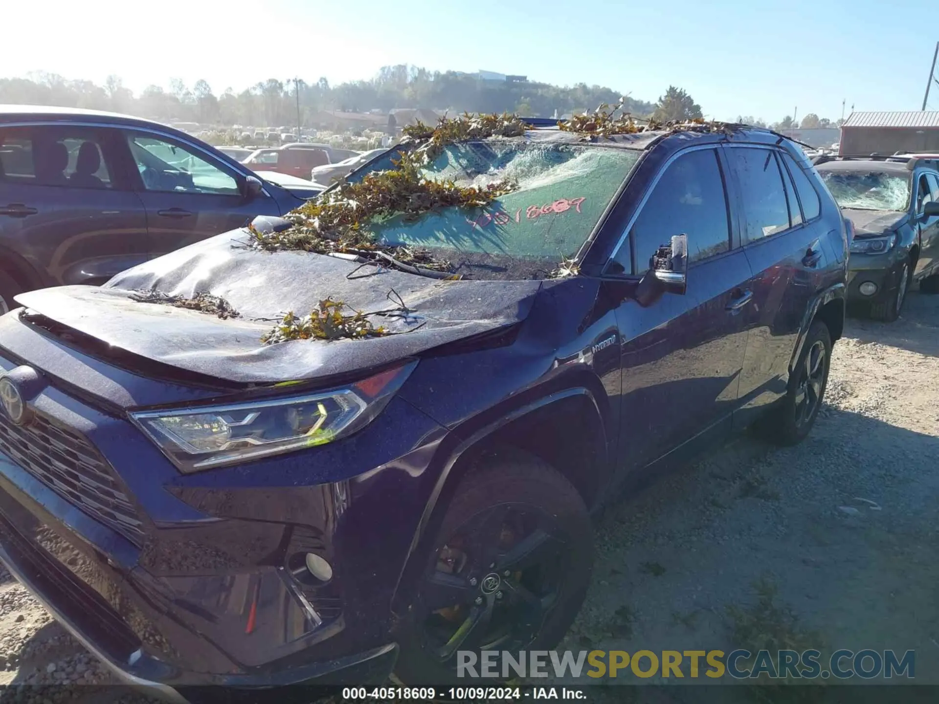 2 Photograph of a damaged car JTMEWRFV5KD511548 TOYOTA RAV4 HYBRID 2019