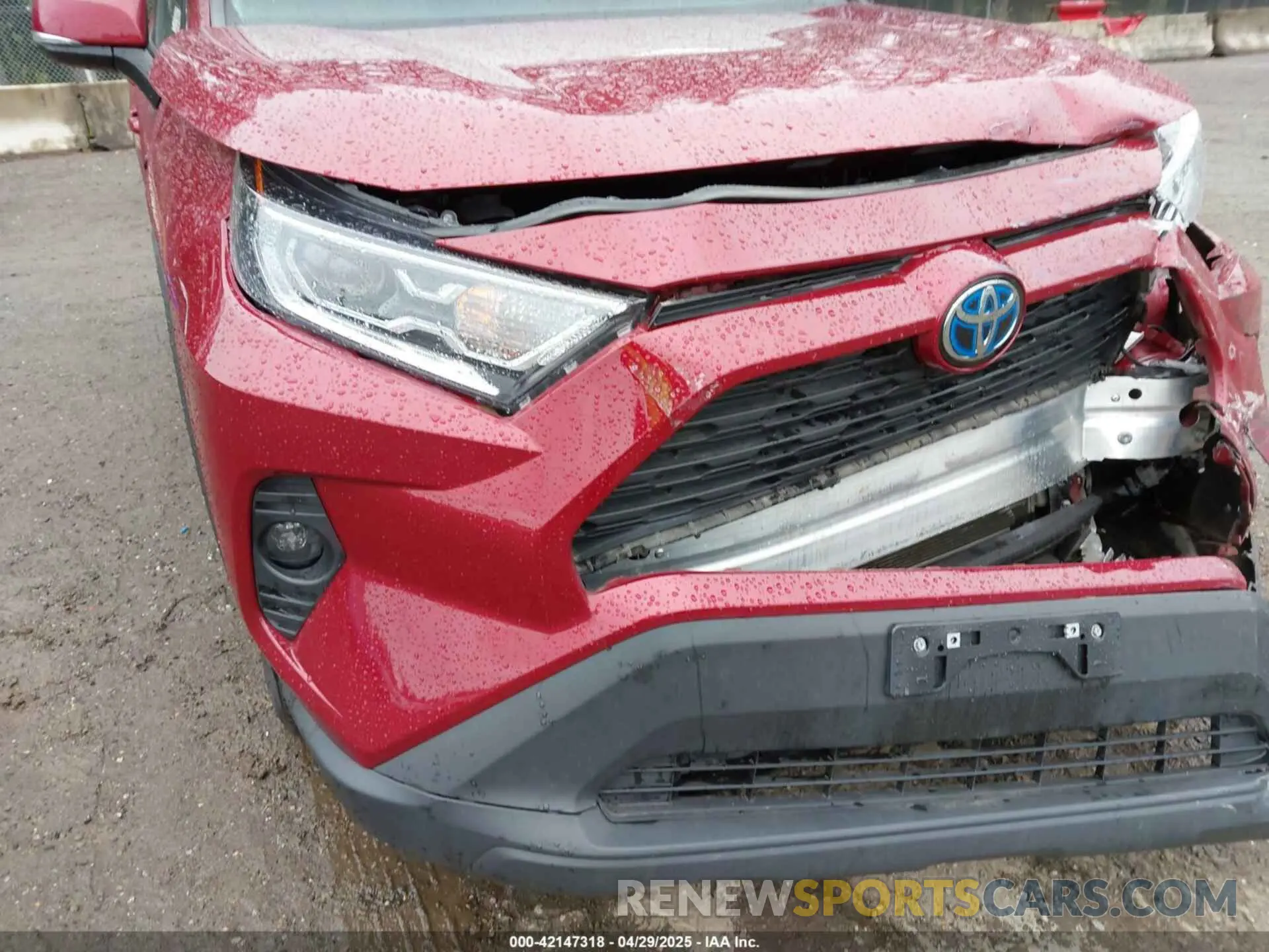 19 Photograph of a damaged car 4T3RWRFV3MU036375 TOYOTA RAV4 HYBRID 2021