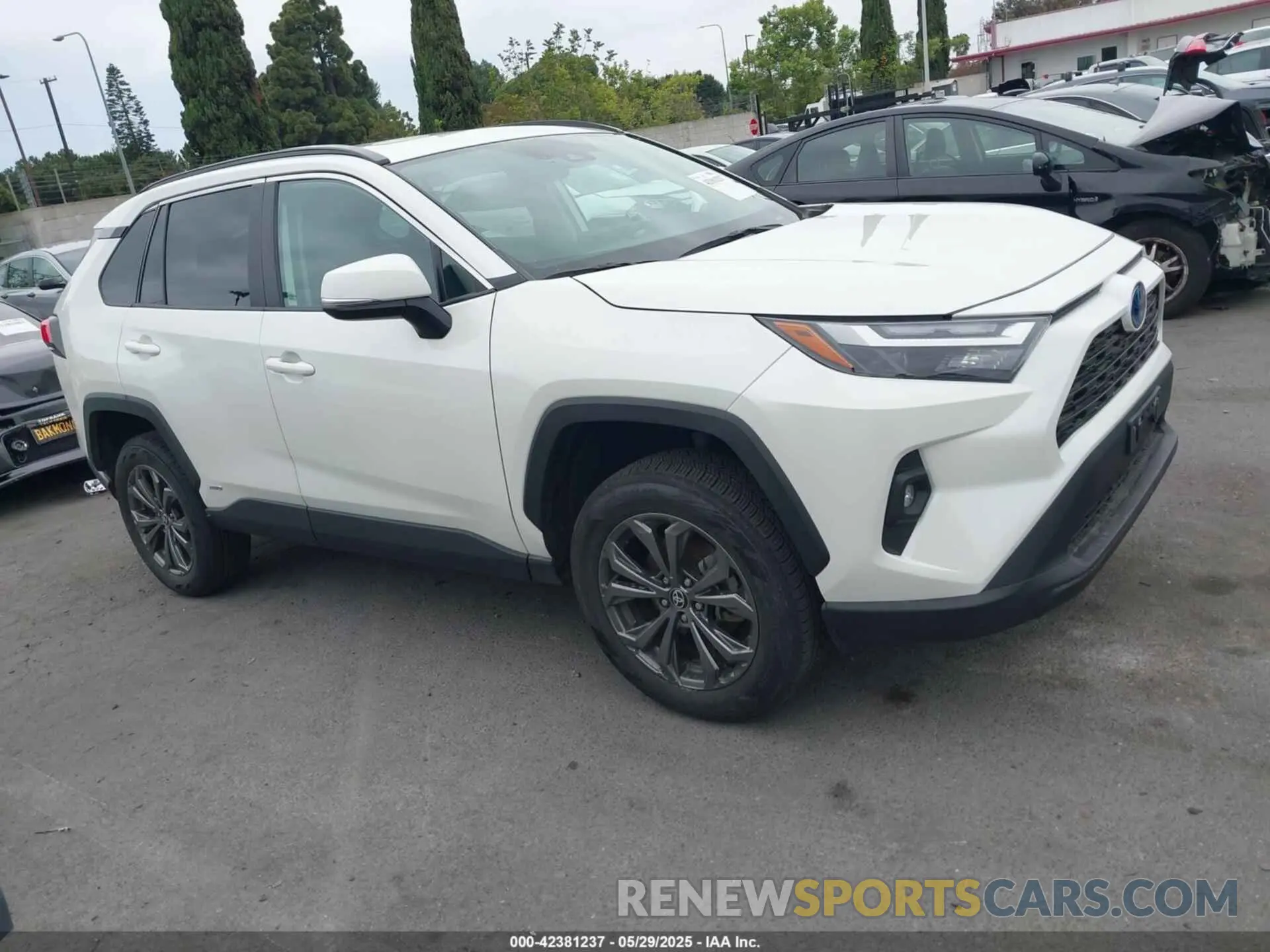 13 Photograph of a damaged car 4T3B6RFV0NU103453 TOYOTA RAV4 HYBRID 2022