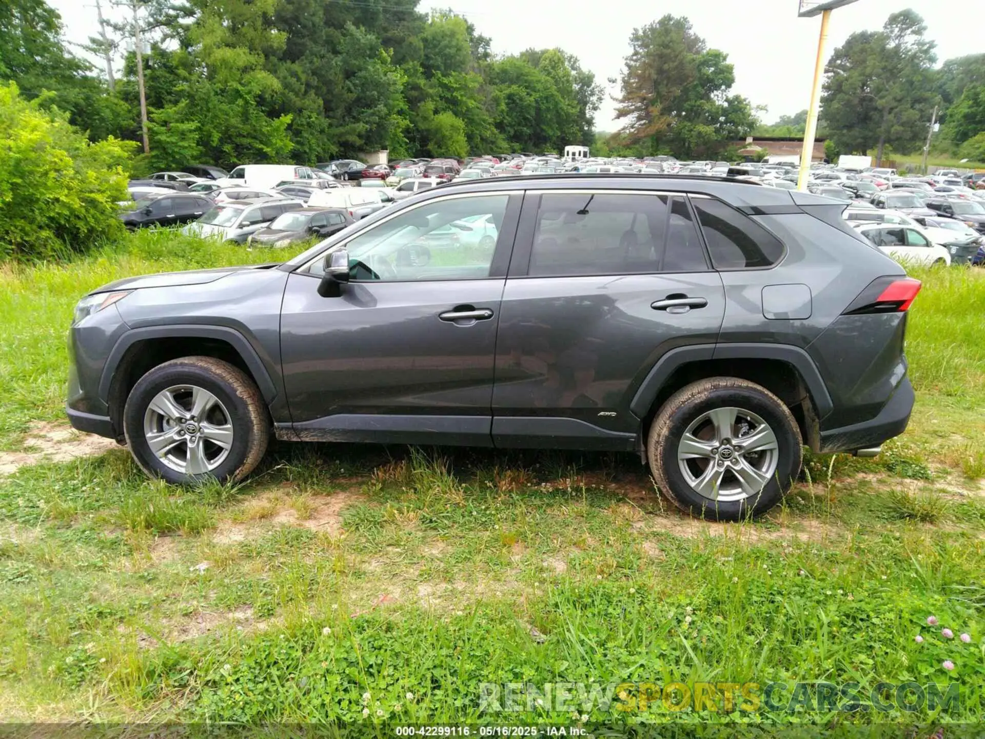 14 Photograph of a damaged car 4T3MWRFV4PU090900 TOYOTA RAV4 HYBRID 2023