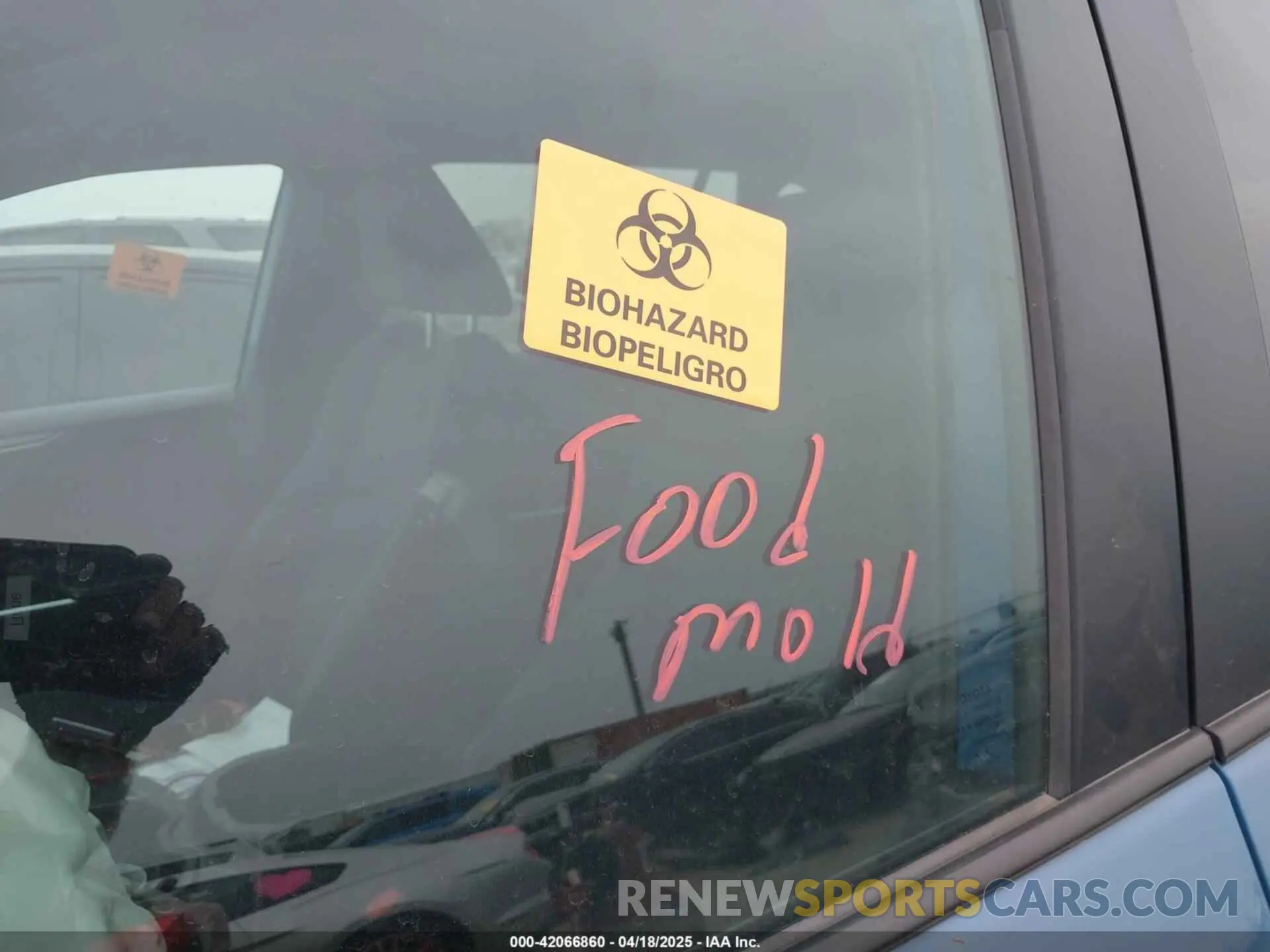 7 Photograph of a damaged car 4T3T6RFV6PU130213 TOYOTA RAV4 HYBRID 2023
