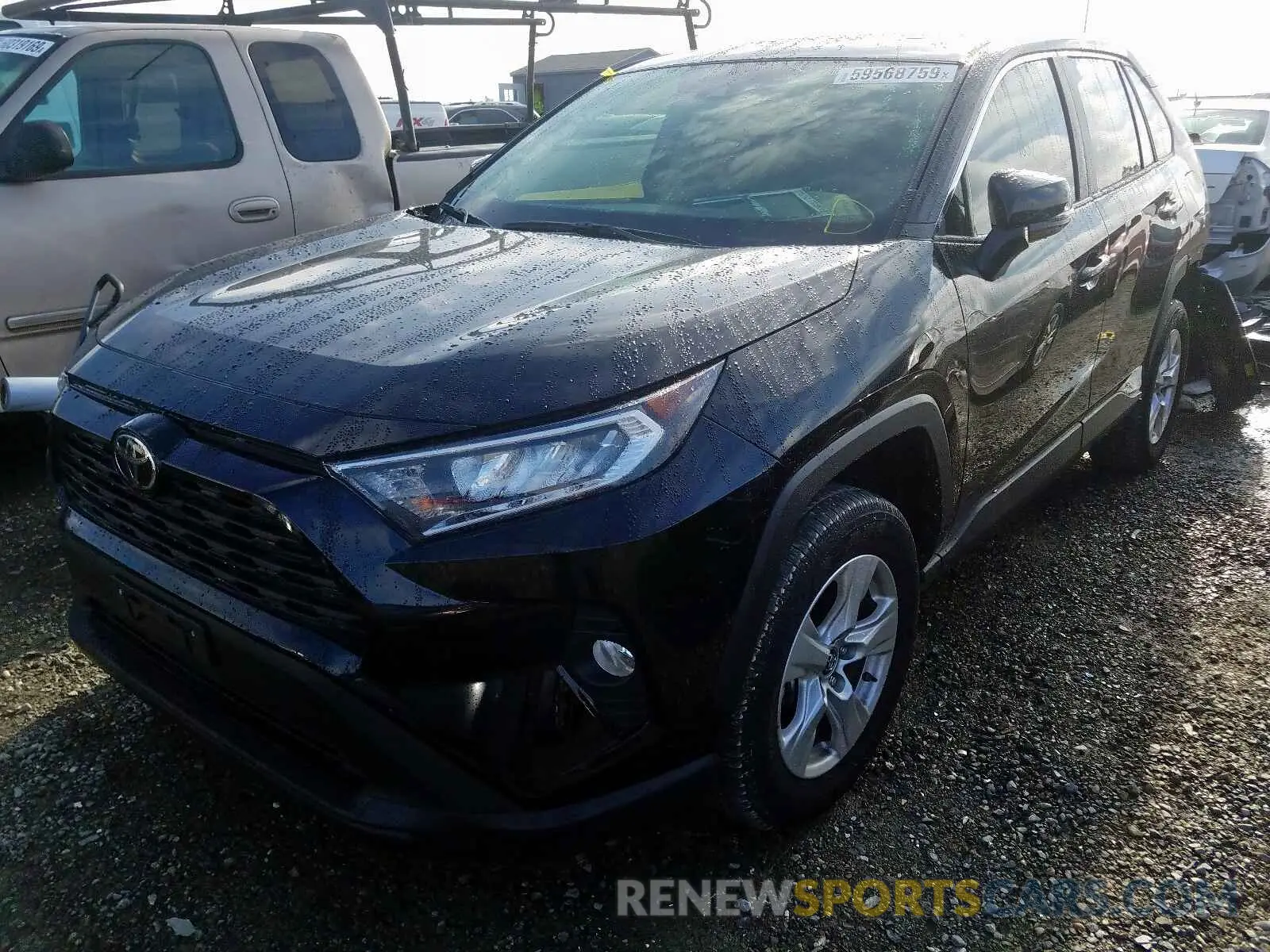 2 Photograph of a damaged car JTMP1RFV5KD505336 TOYOTA RAV4 XLE 2019