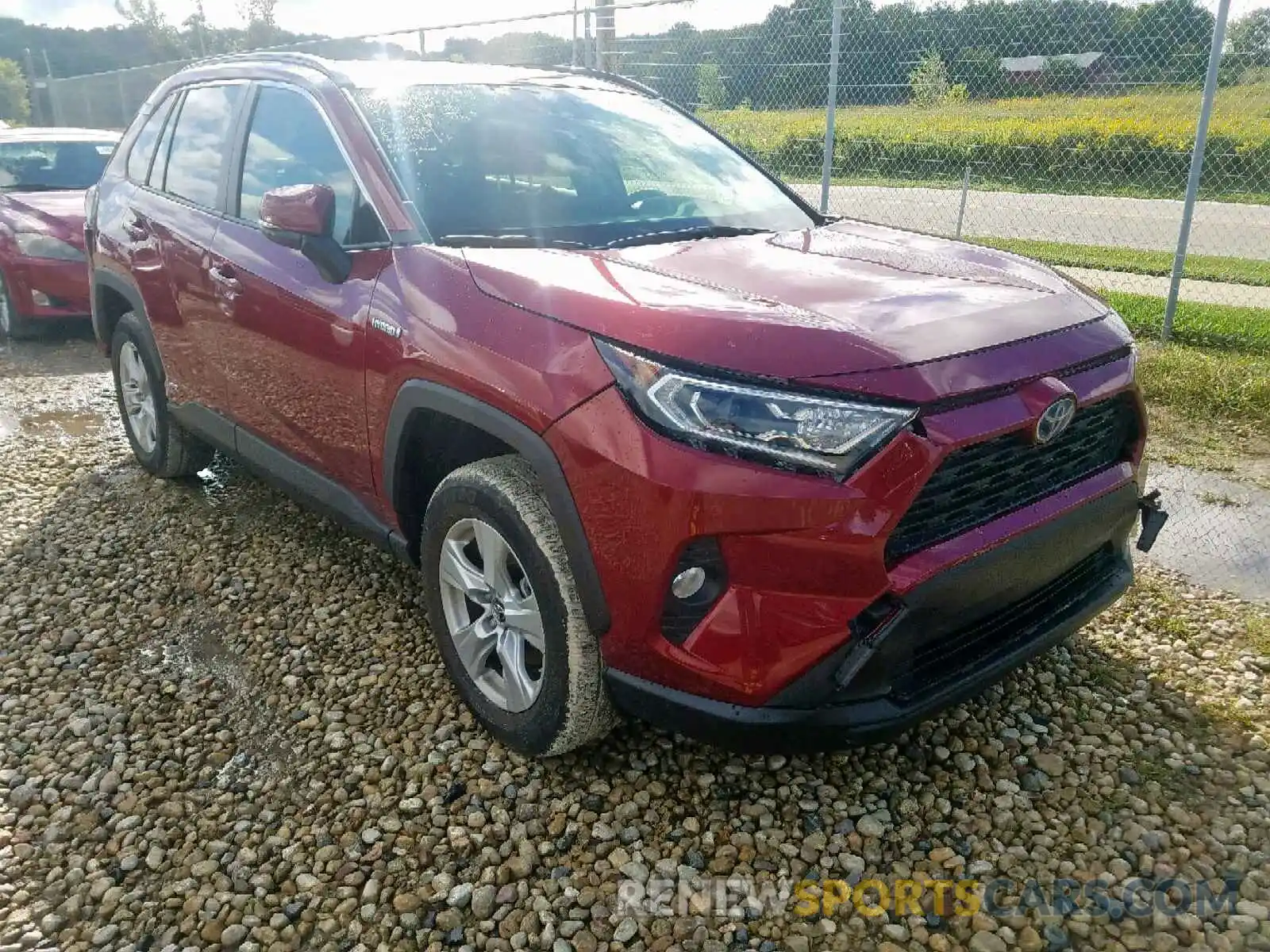 1 Photograph of a damaged car JTMRWRFV0KD501656 TOYOTA RAV4 XLE 2019