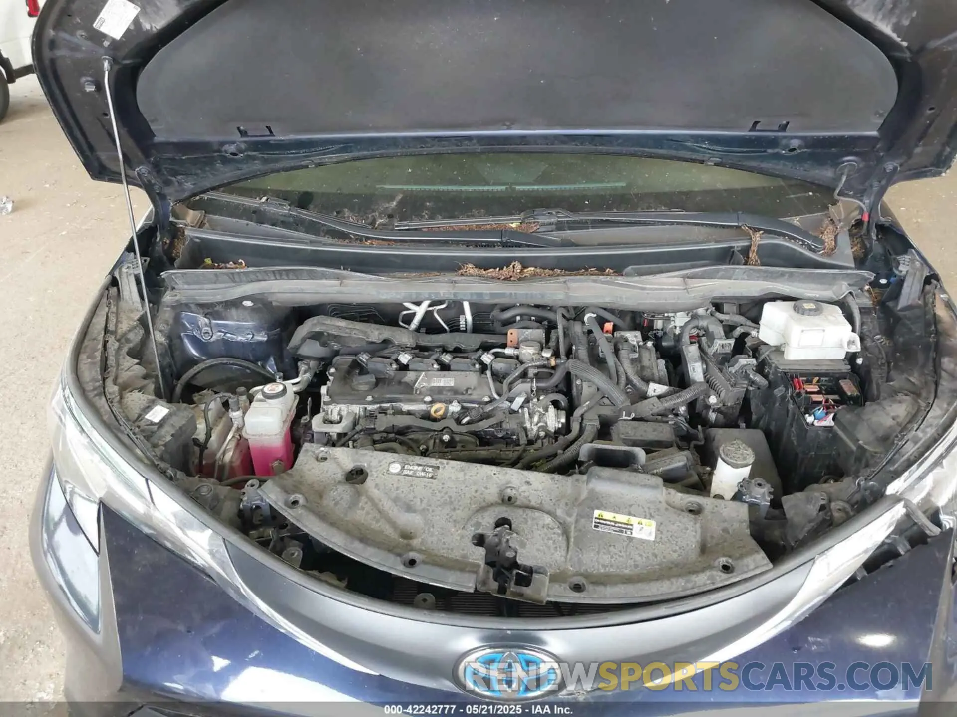 10 Photograph of a damaged car 5TDBRKEC5PS175297 TOYOTA SIENNA 2023