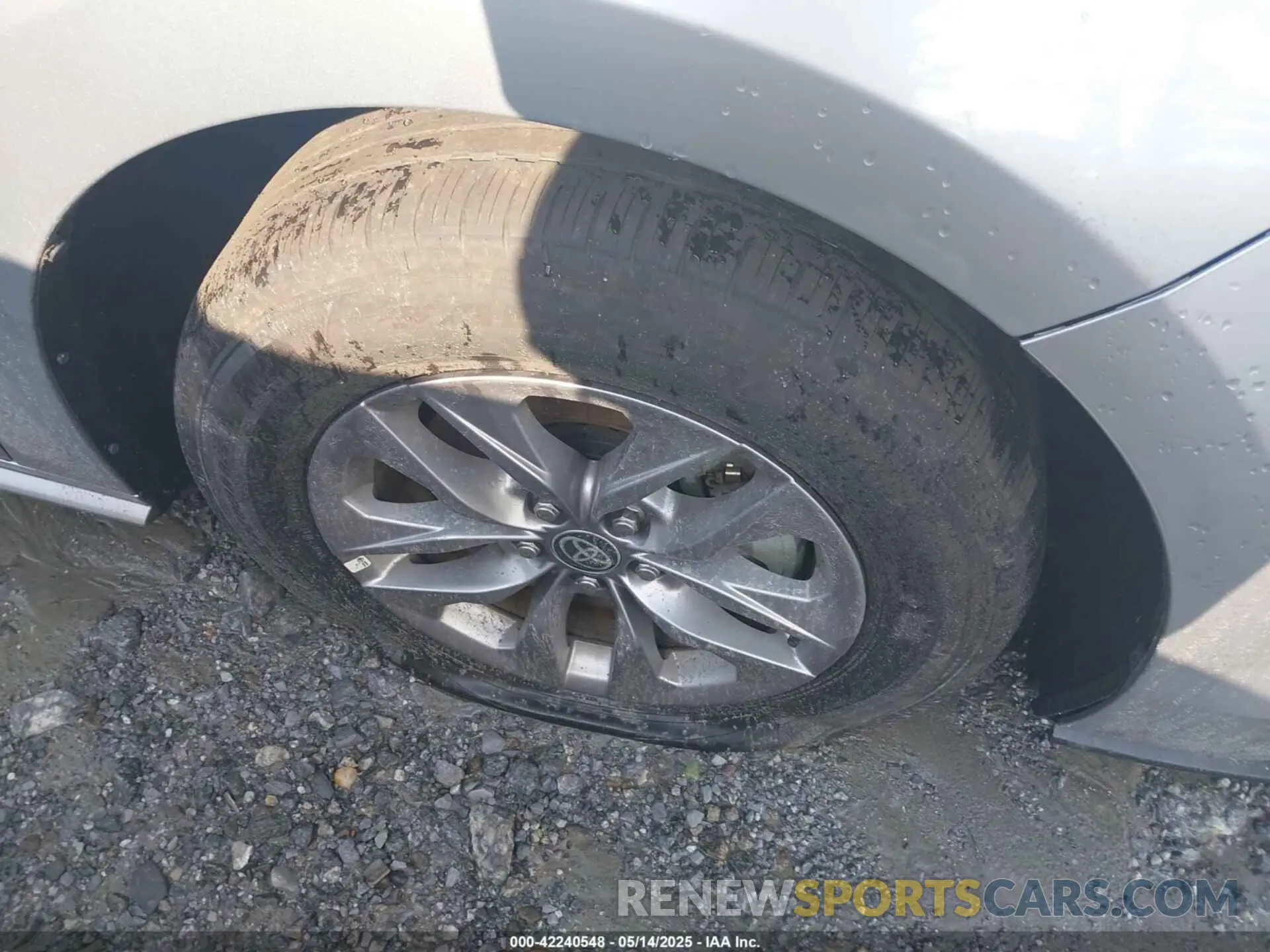 19 Photograph of a damaged car 5TDKRKEC0RS203462 TOYOTA SIENNA 2024