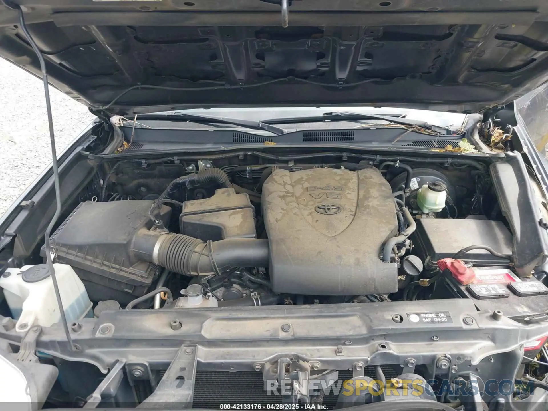 10 Photograph of a damaged car 3TMAZ5CN0KM094427 TOYOTA TACOMA 2019