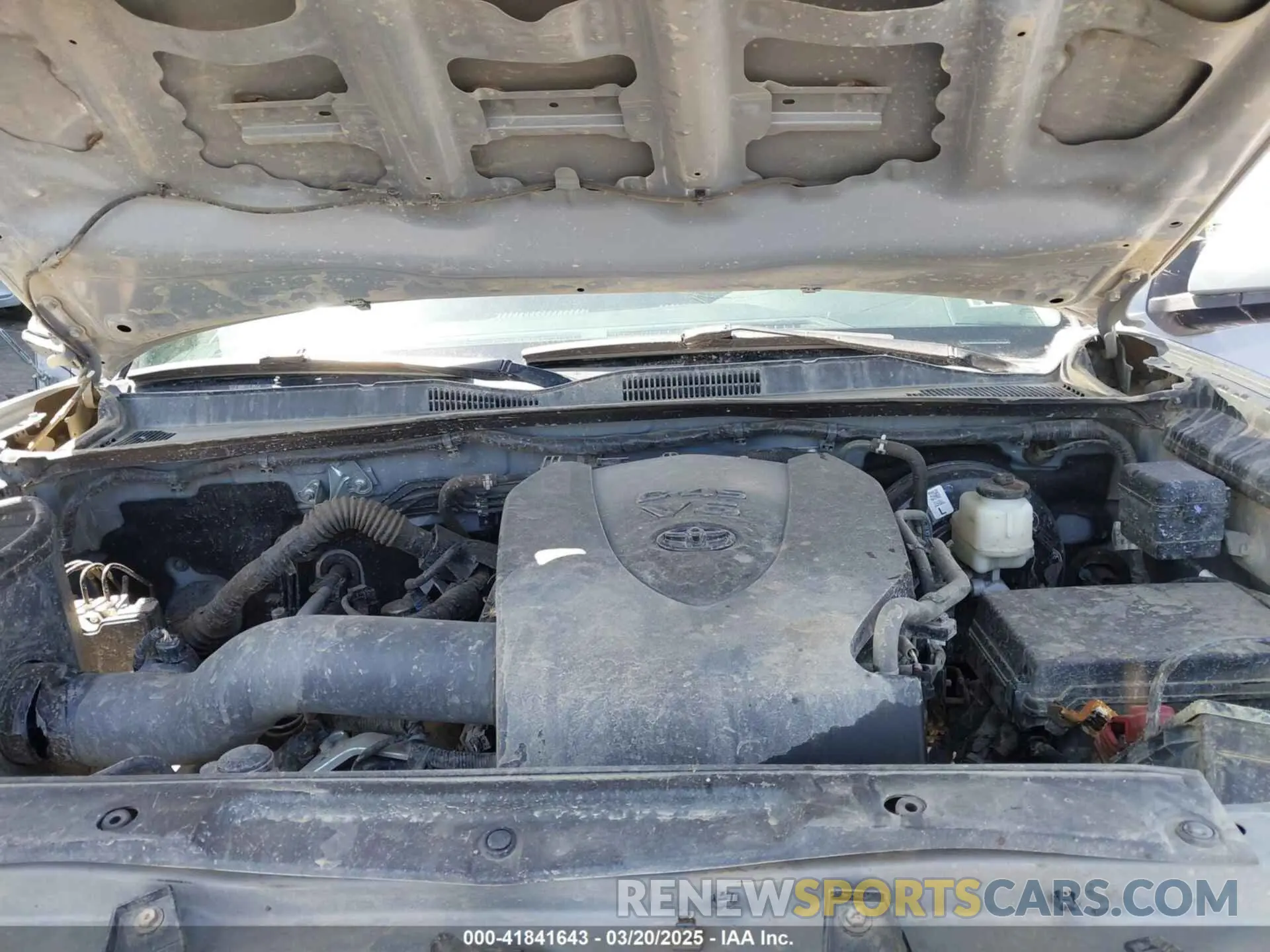 10 Photograph of a damaged car 3TMAZ5CN4KM081129 TOYOTA TACOMA 2019
