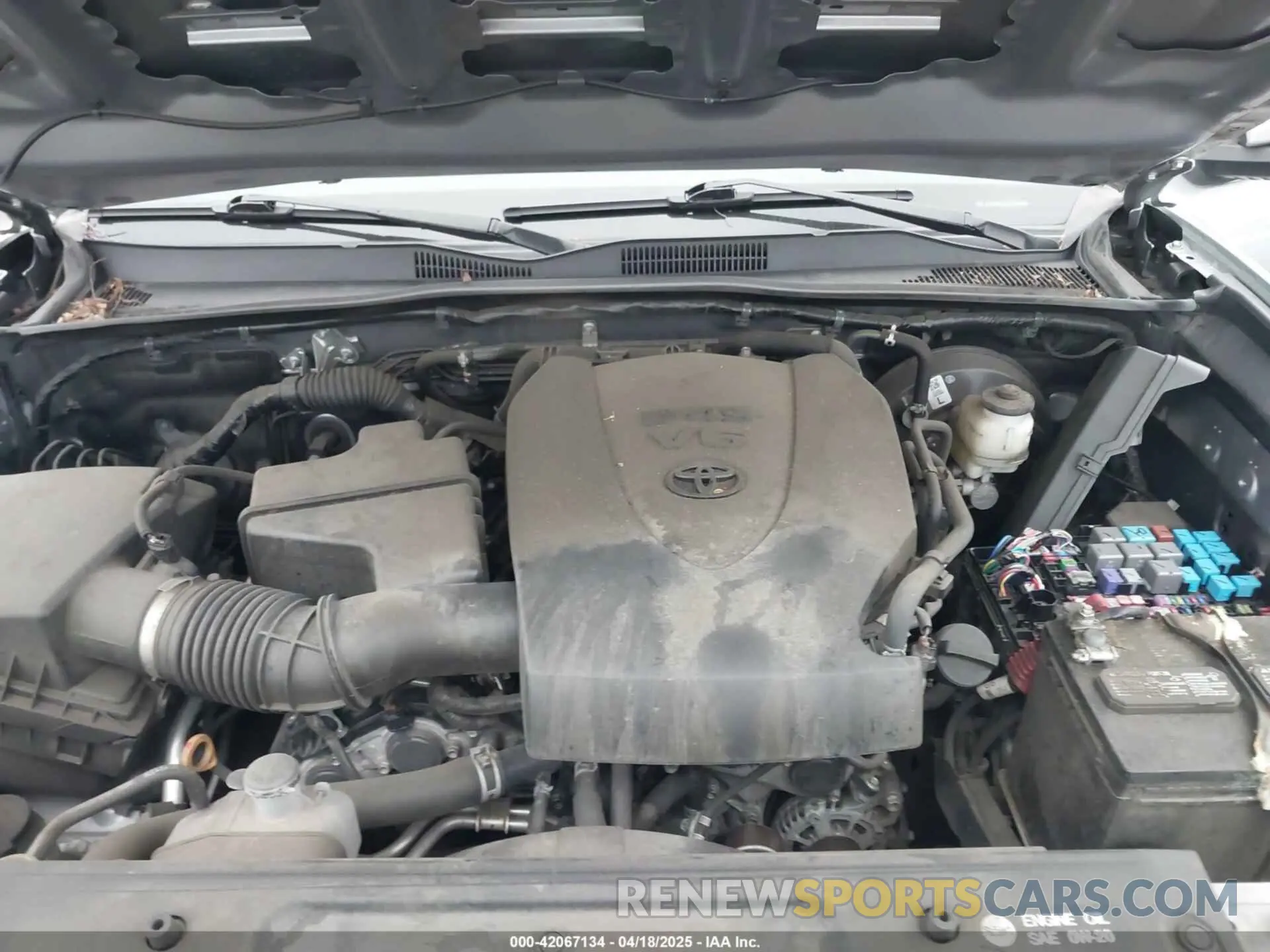 10 Photograph of a damaged car 3TMAZ5CNXKM113176 TOYOTA TACOMA 2019