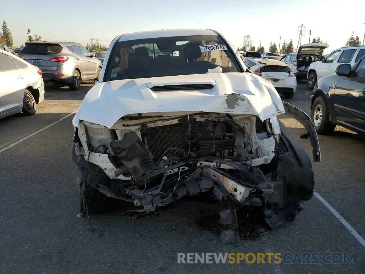 5 Photograph of a damaged car 3TMBZ5DN0KM018287 TOYOTA TACOMA 2019