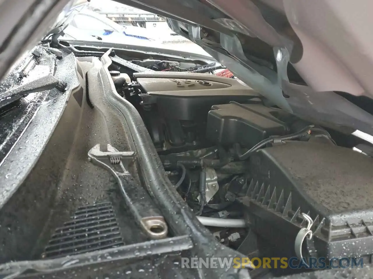 13 Photograph of a damaged car 3TMCZ5AN0KM222807 TOYOTA TACOMA 2019
